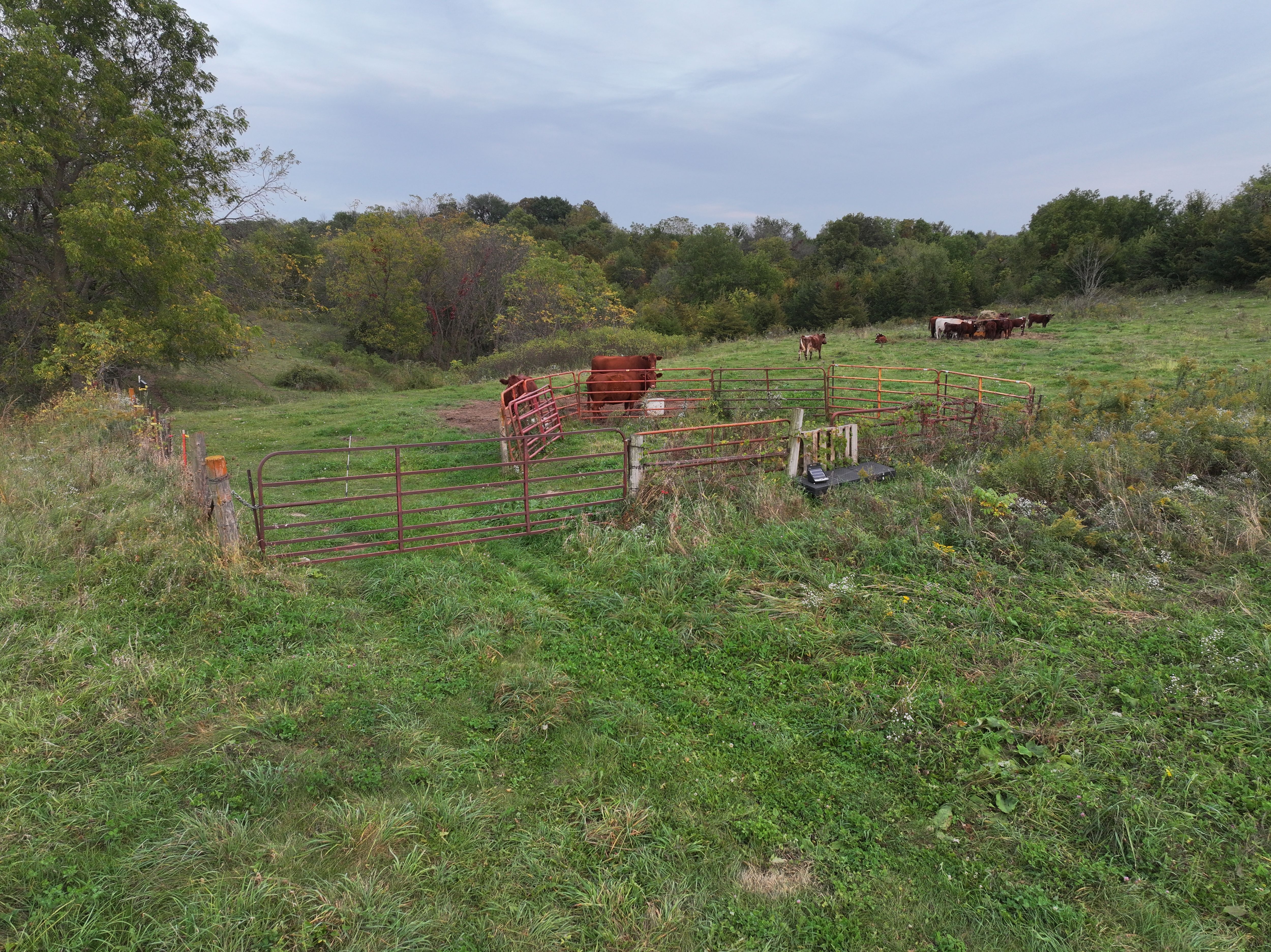 Listing Photo: Fayette-Iowa-Pasture-Land