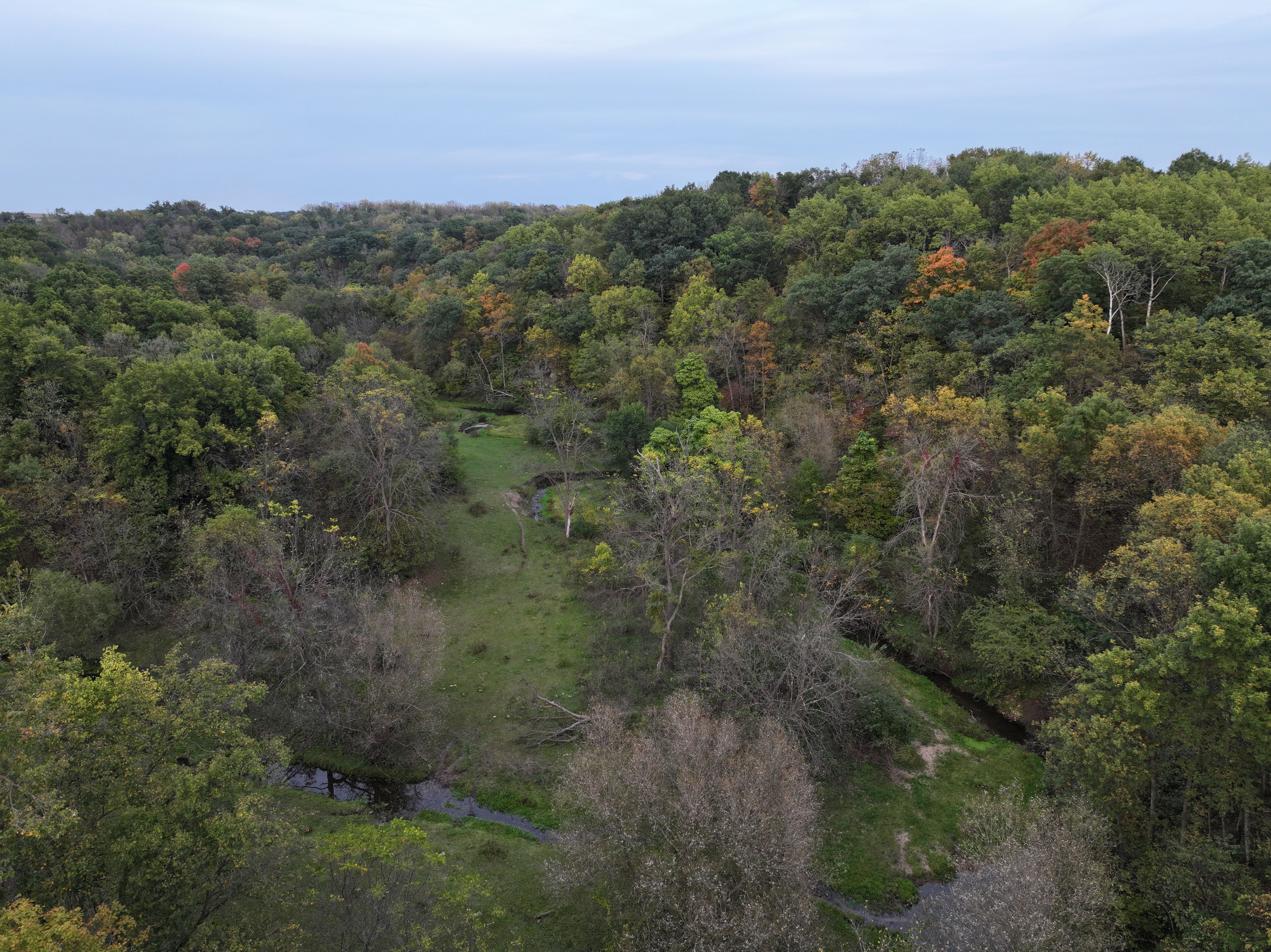 Listing Photo: West-Union-Iowa-Pasture-Land-For-Sale