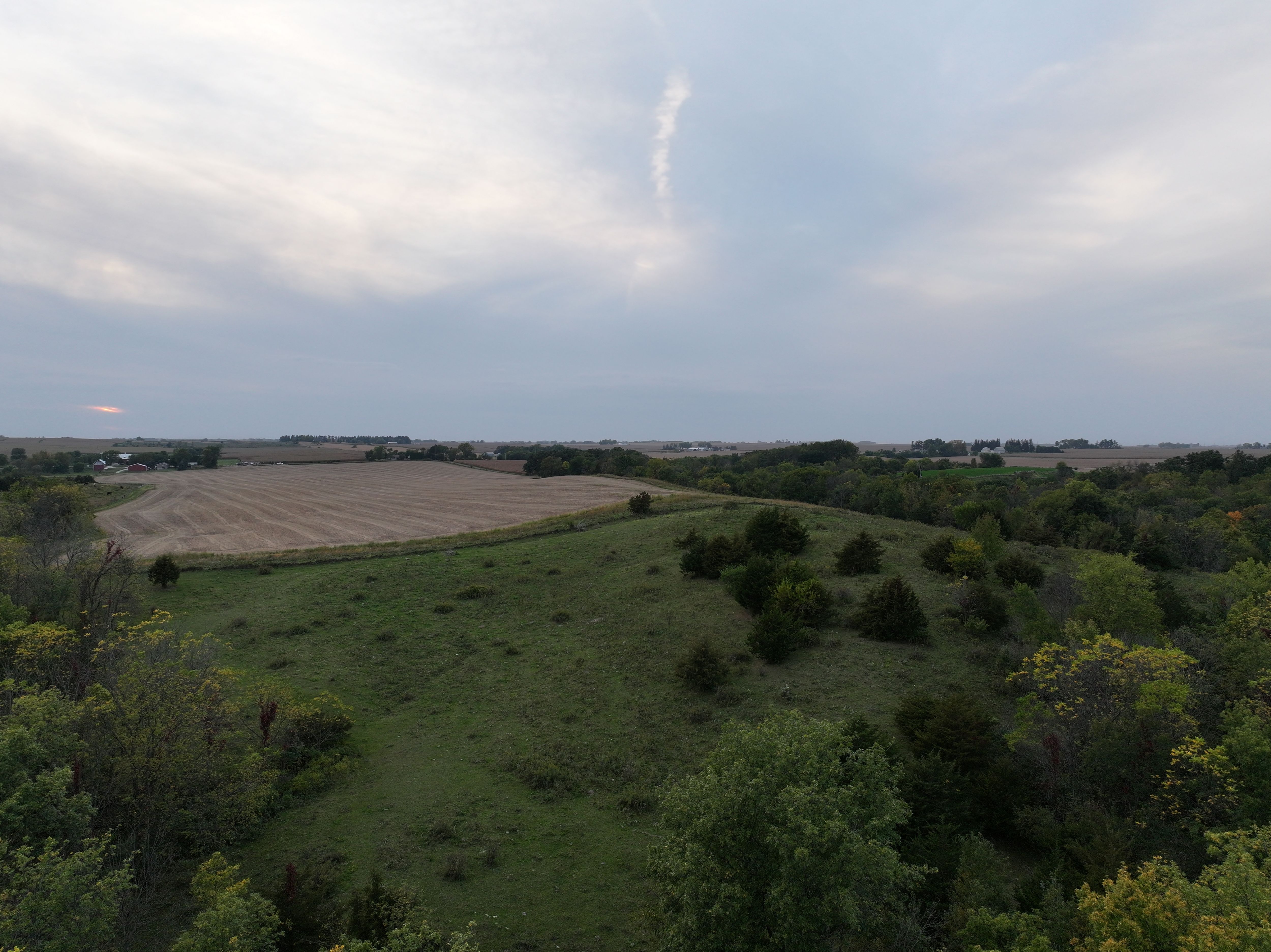 Listing Photo: Pastureland-Cattle-For-Sale-Fayette-County-Iowa