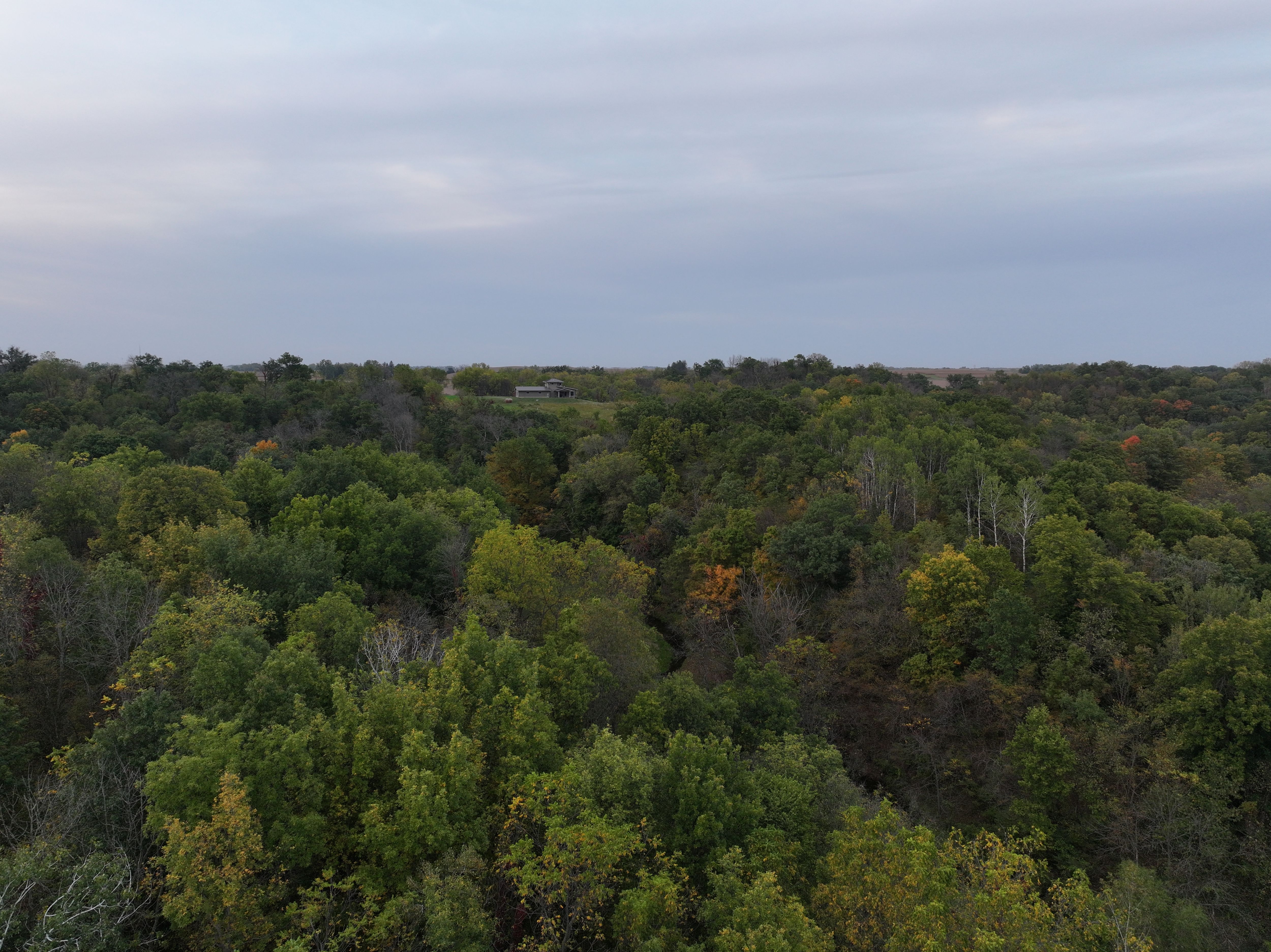 Listing Photo: Northeast-Iowa-Hunting-Land