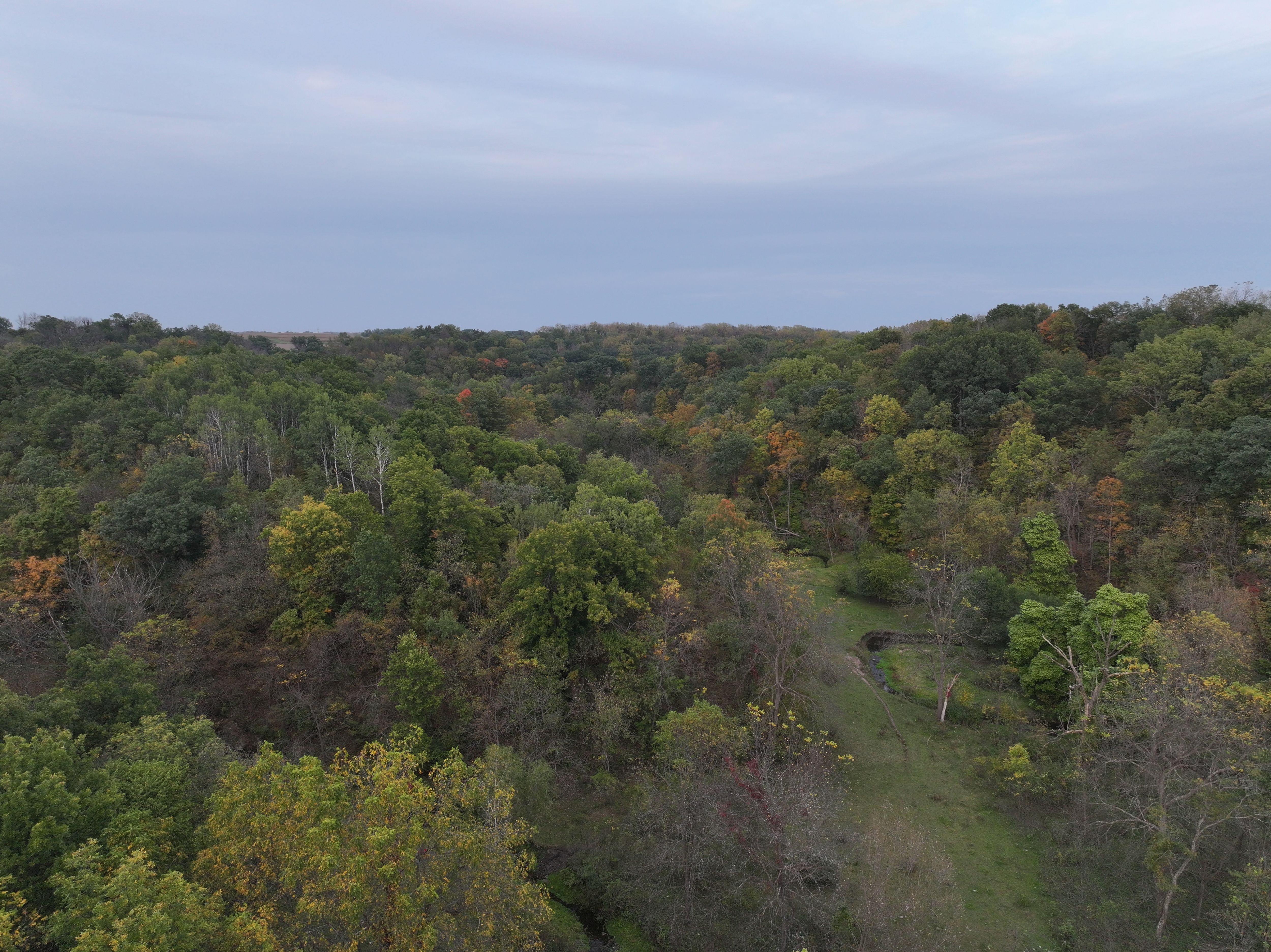 Listing Photo: Iowa-Swiss-Valley-Land-For-Sale
