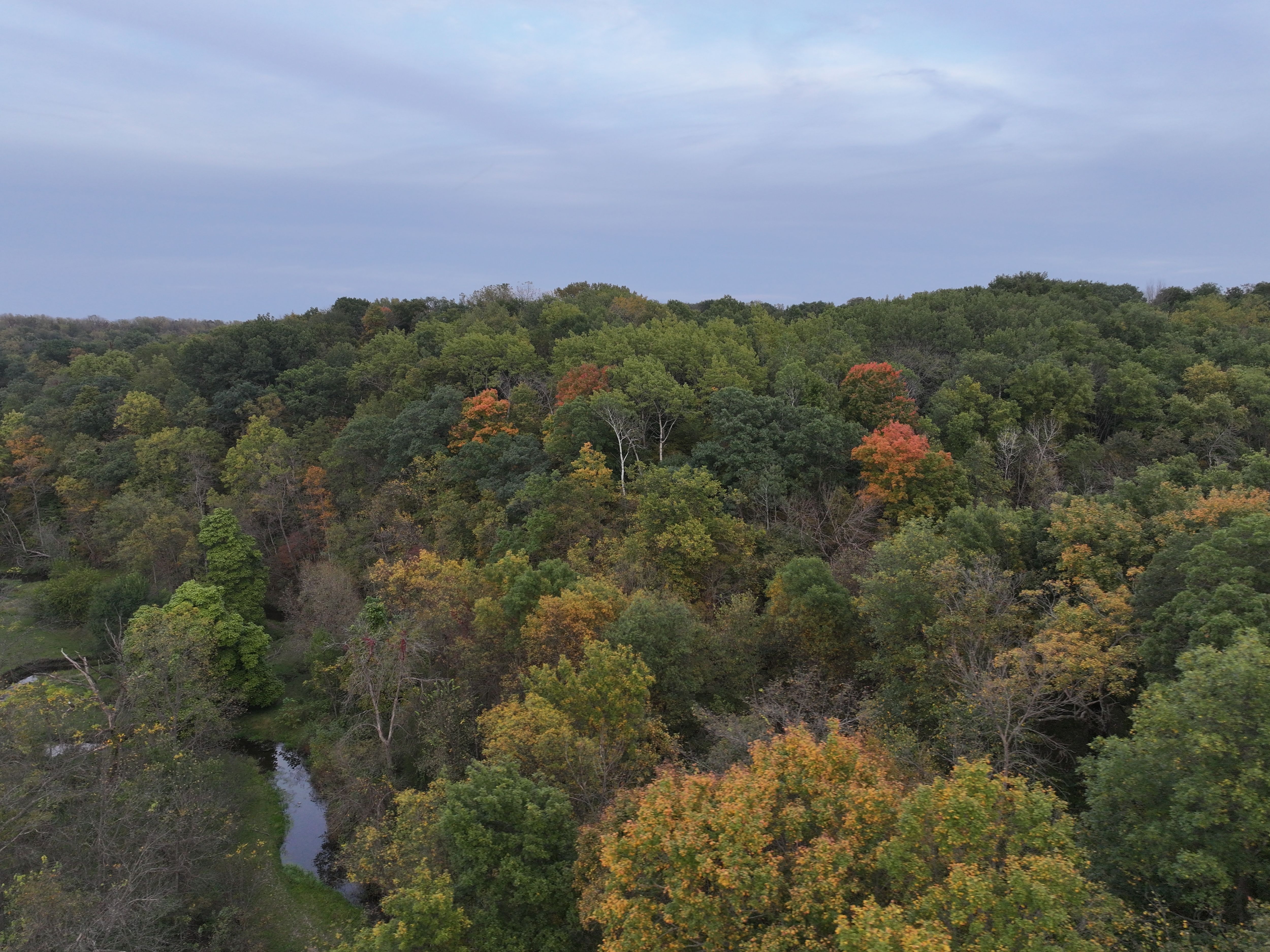 Listing Photo: Volga-River-Area-Recreational-Land-Available