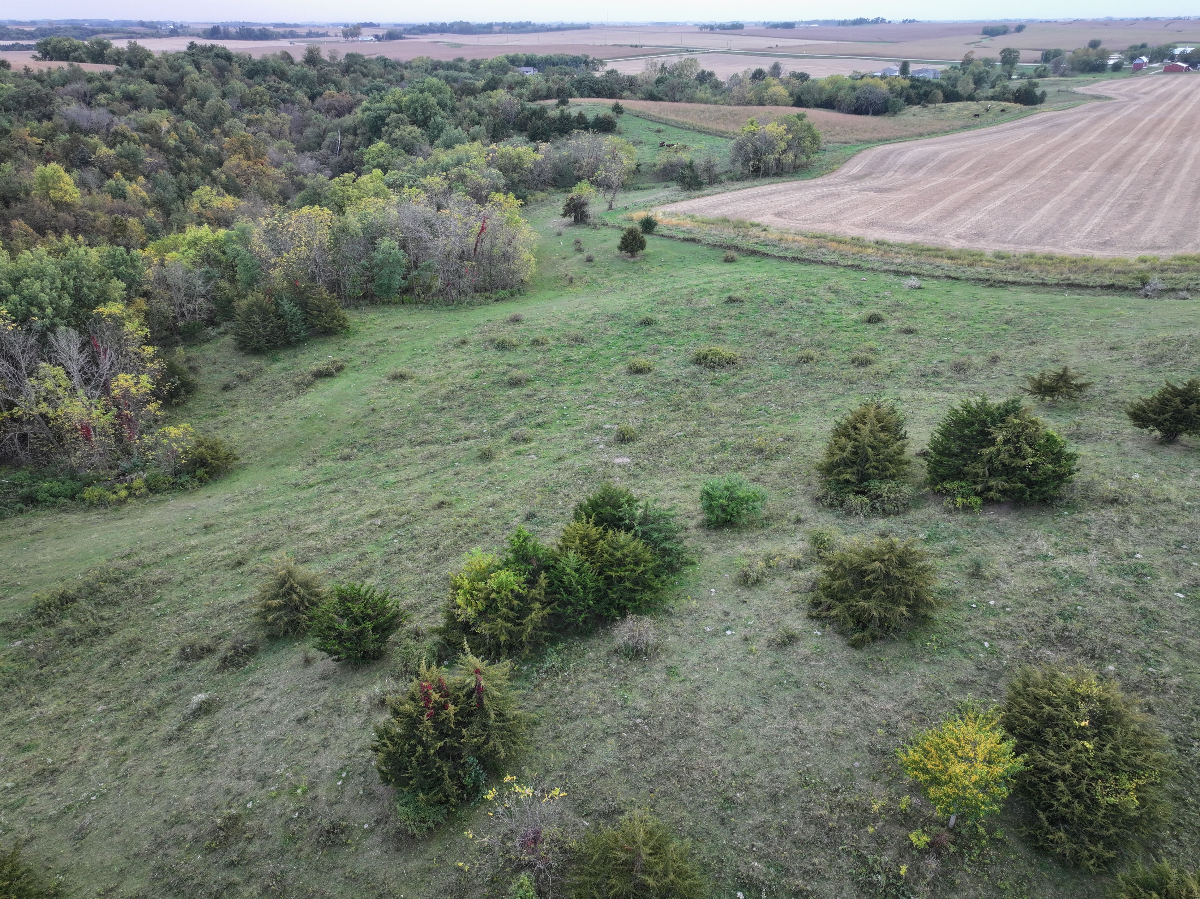 Listing Photo: Iowa-Pasture-Land-For-Sale