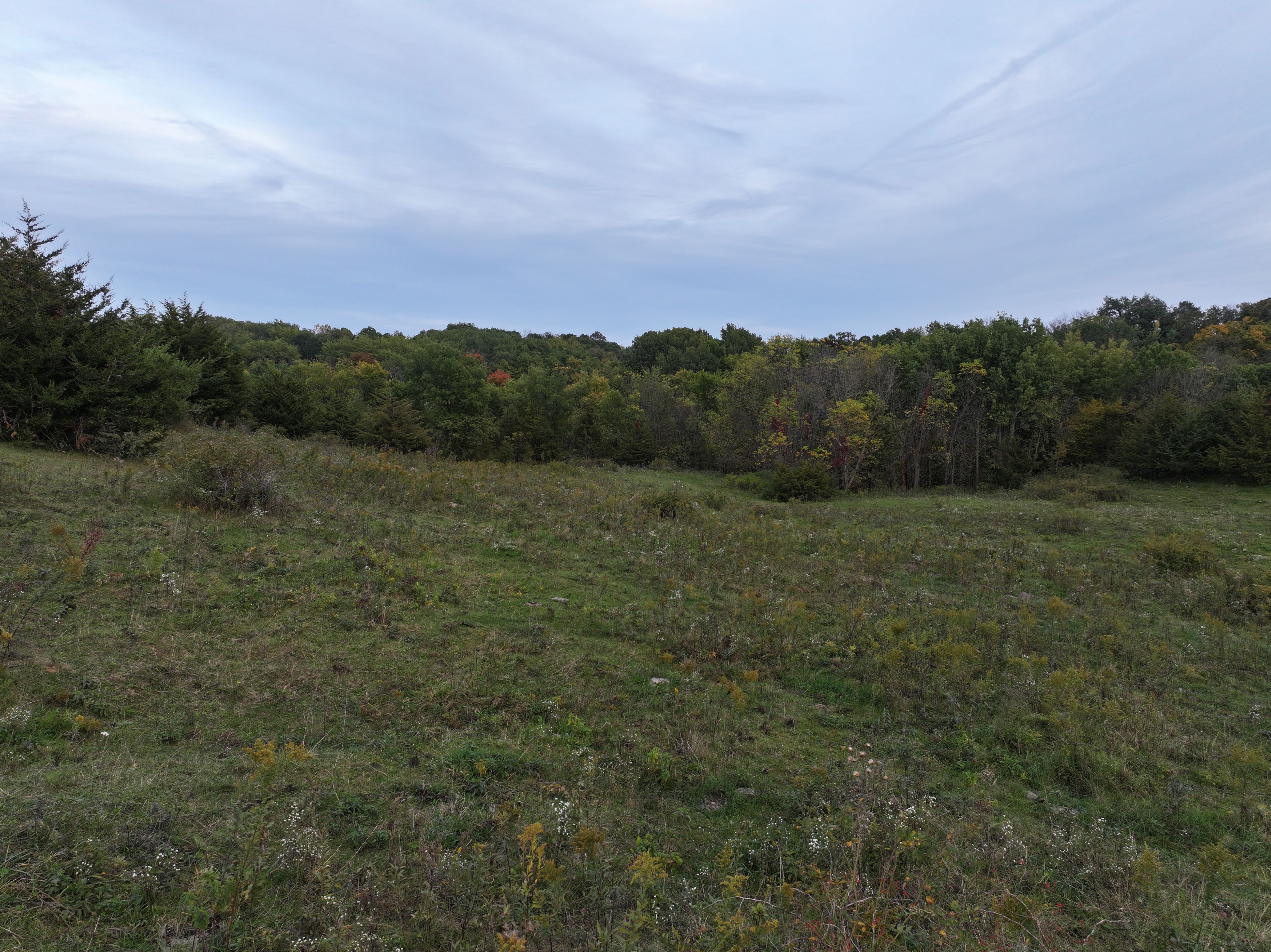 Listing Photo: Pasture-Land-Available-Iowa