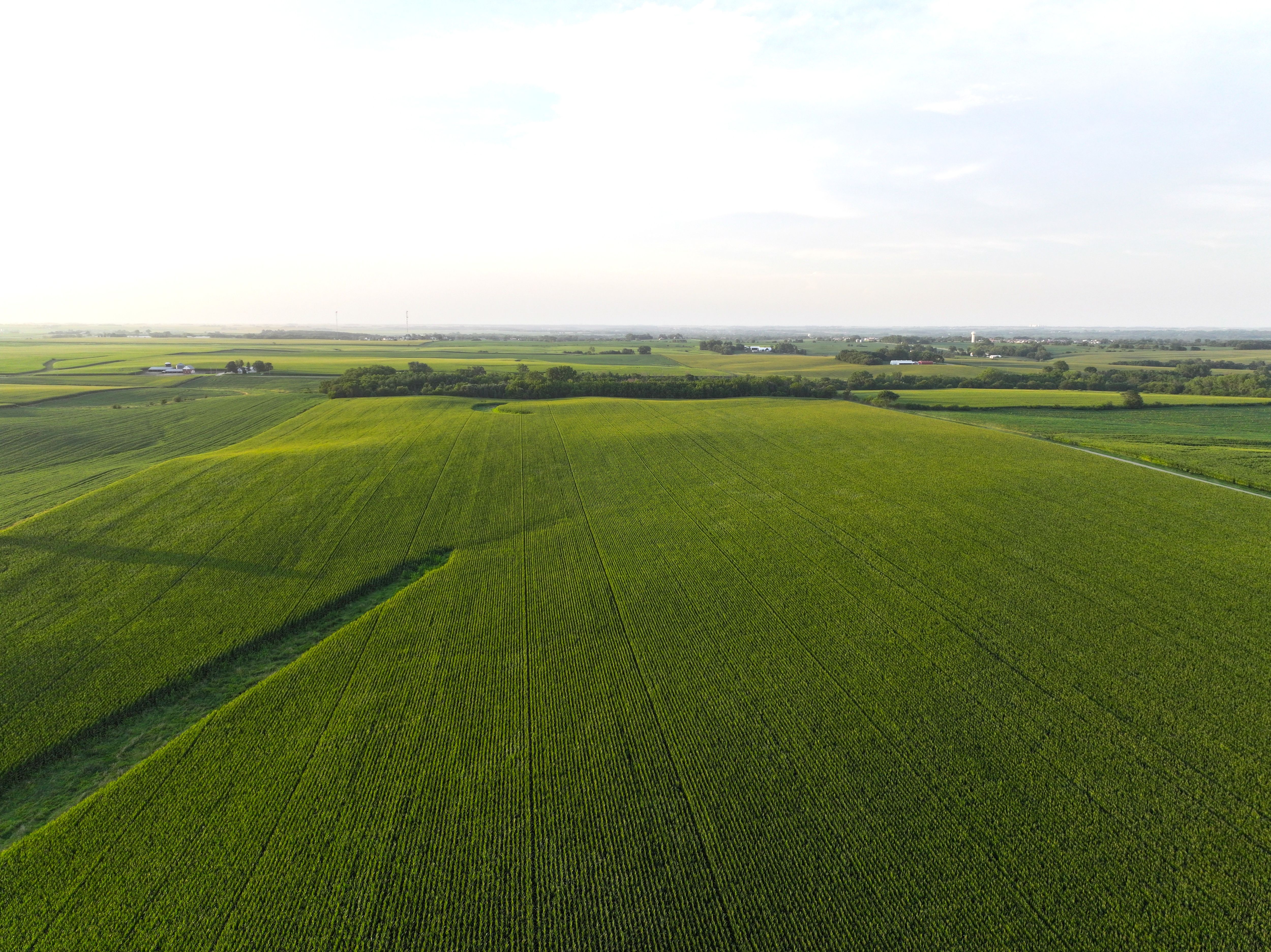 Listing Photo: DJI_20250719140406_0138_D-1