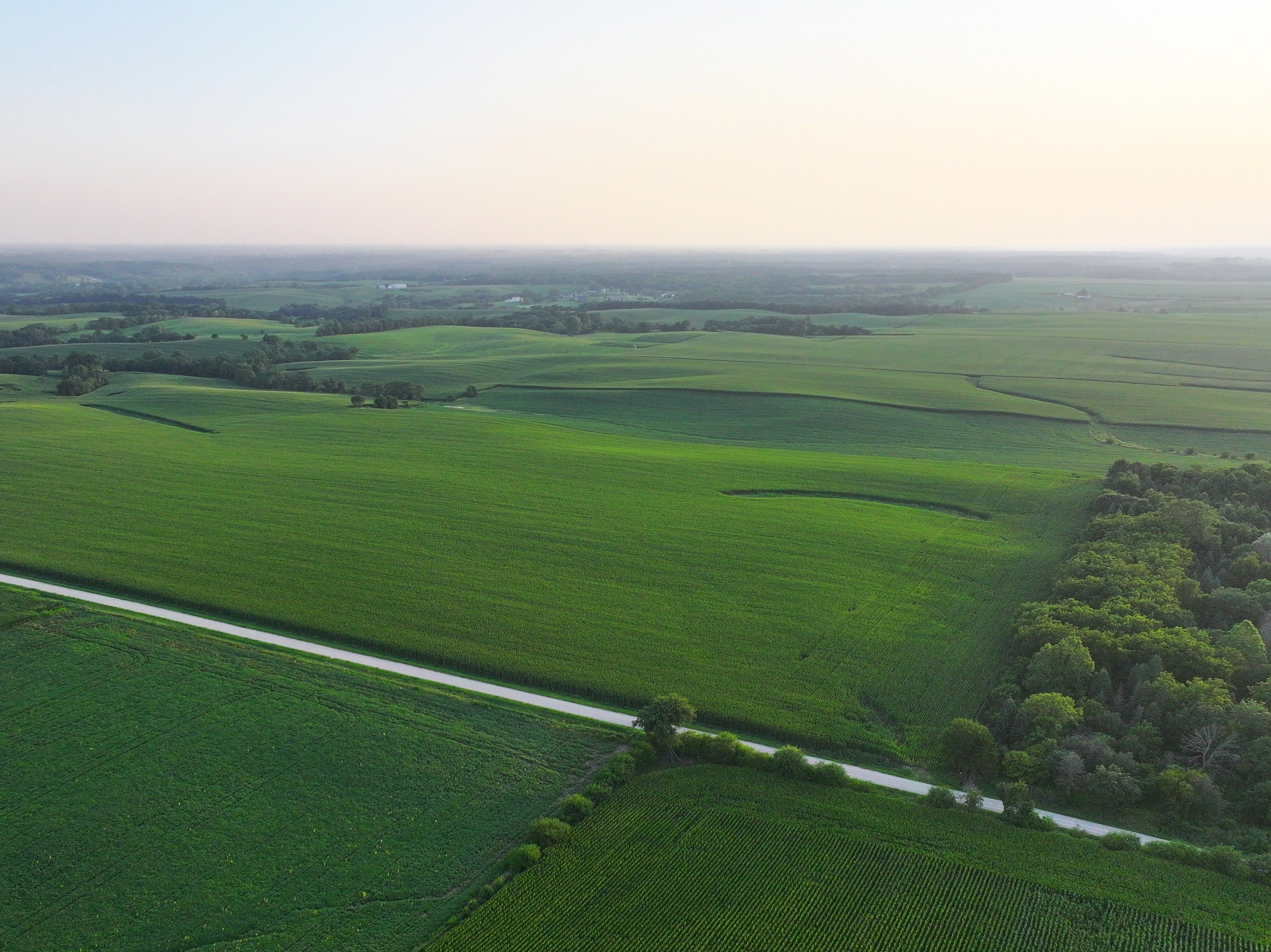 Listing Photo: DJI_20250719140816_0157_D-1