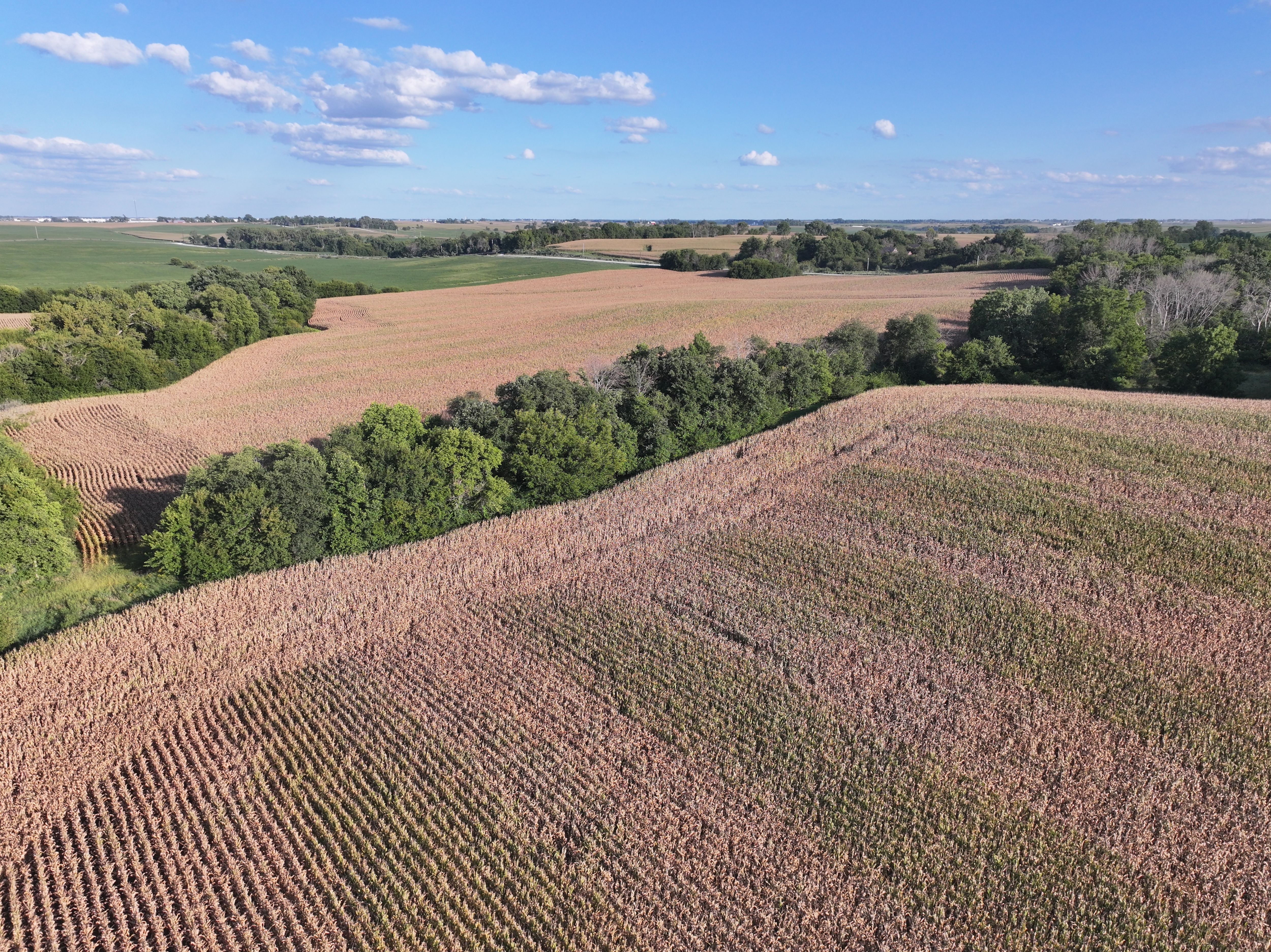 Listing Photo: DJI_20250901180140_0489_D