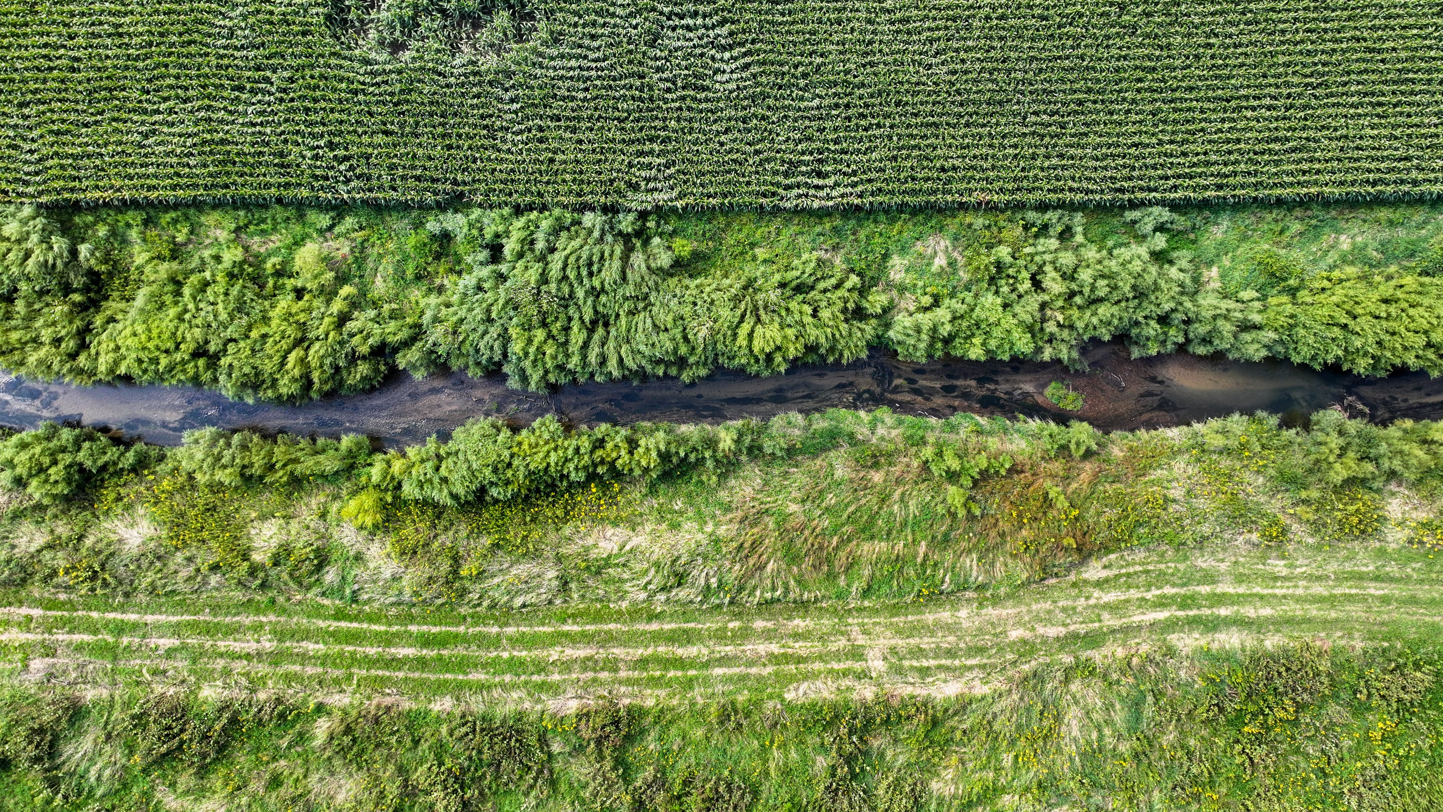 Listing Photo: DJI_20250908110334_0227_D