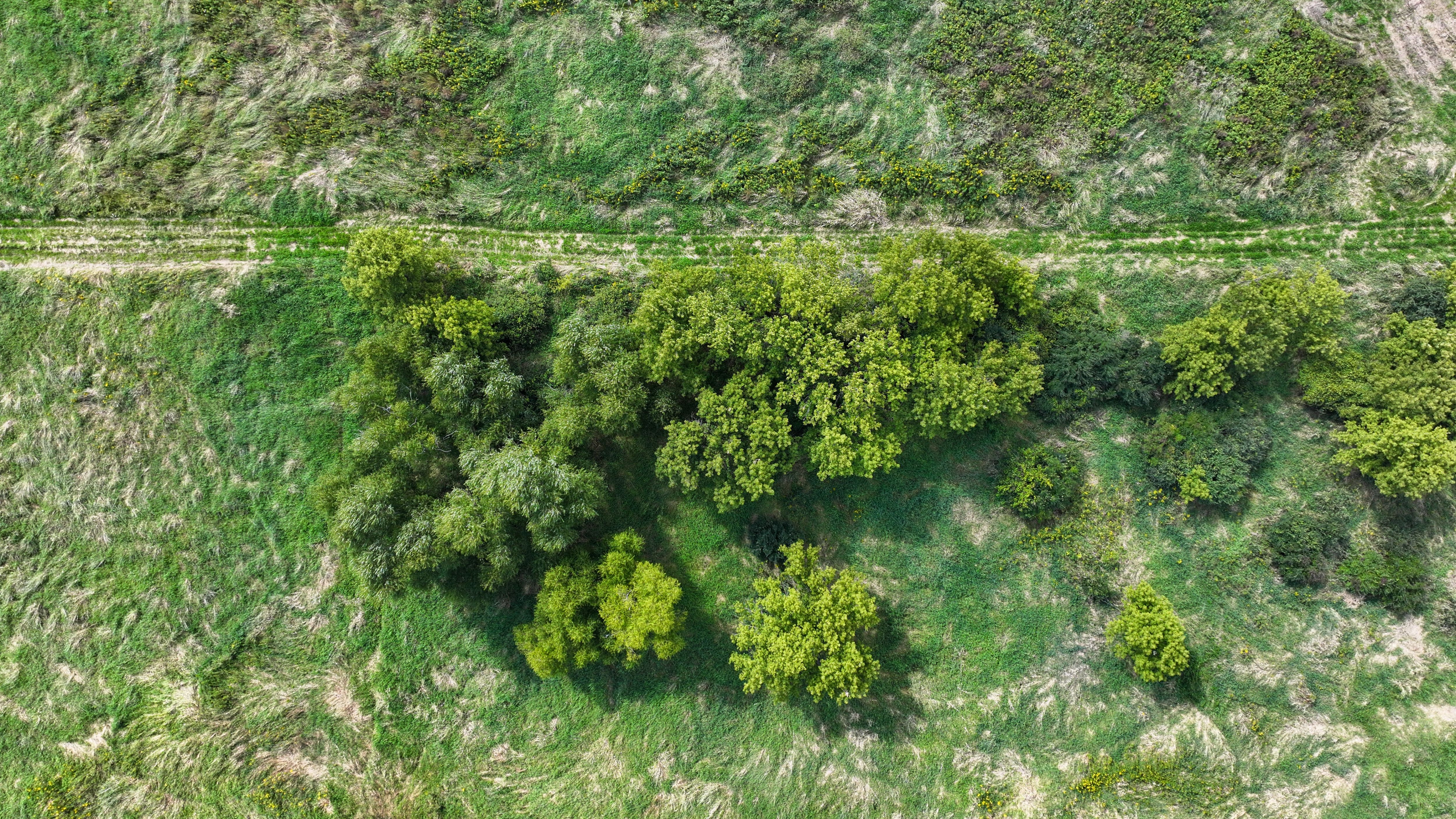 Listing Photo: DJI_20250908110843_0241_D