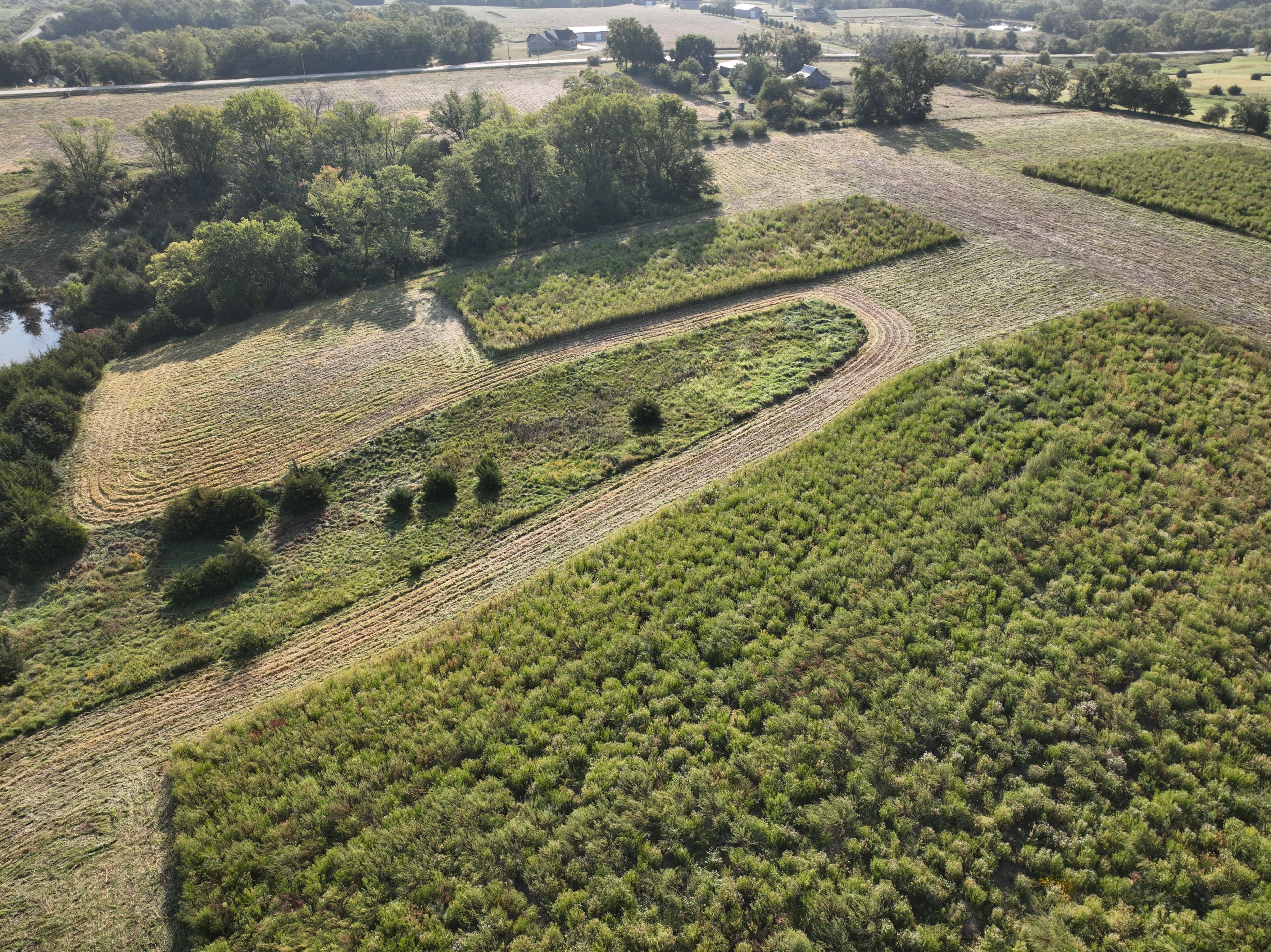 Listing Photo: DJI_0653