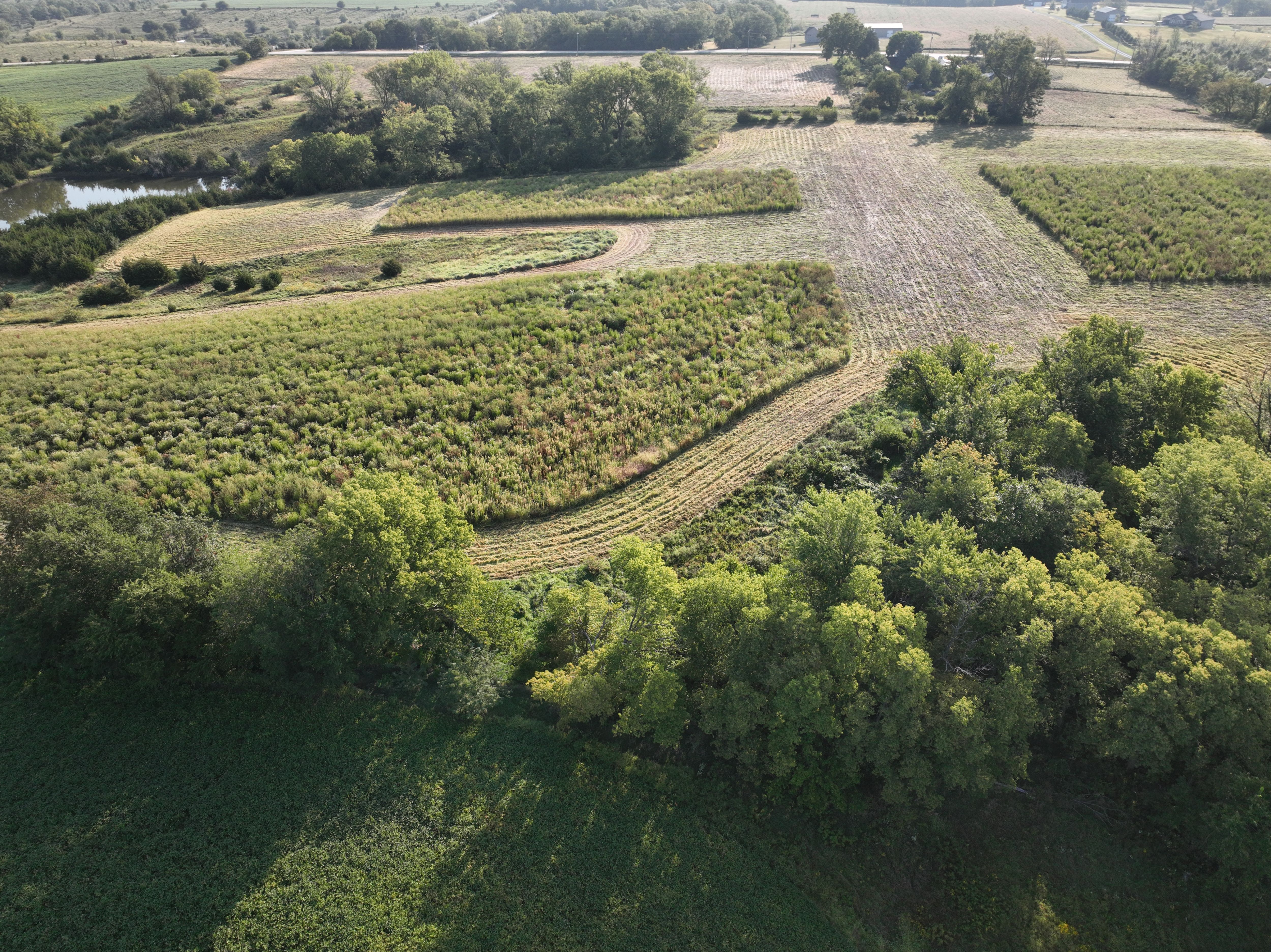 Listing Photo: DJI_0655