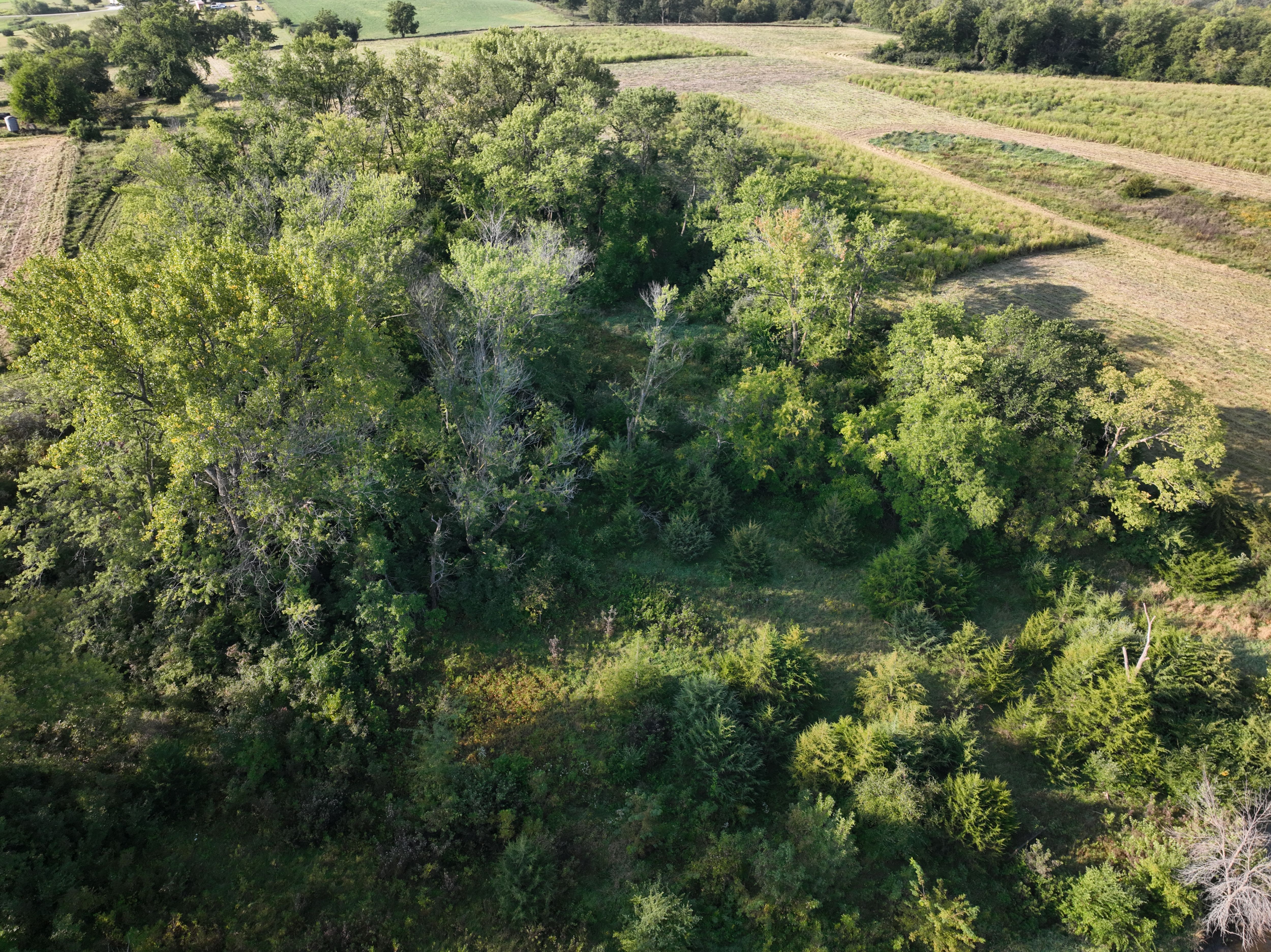Listing Photo: DJI_0662