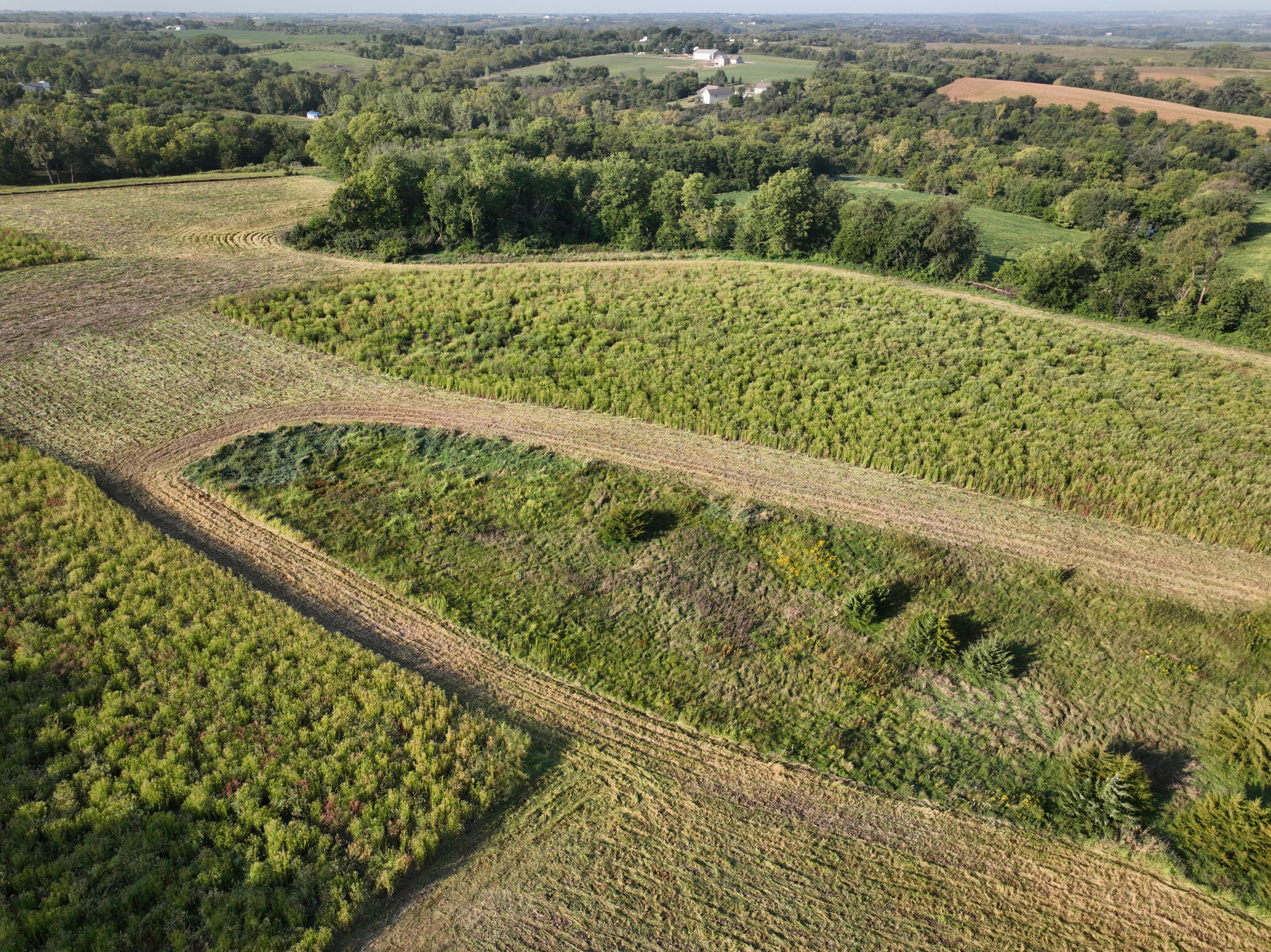 Listing Photo: DJI_0663