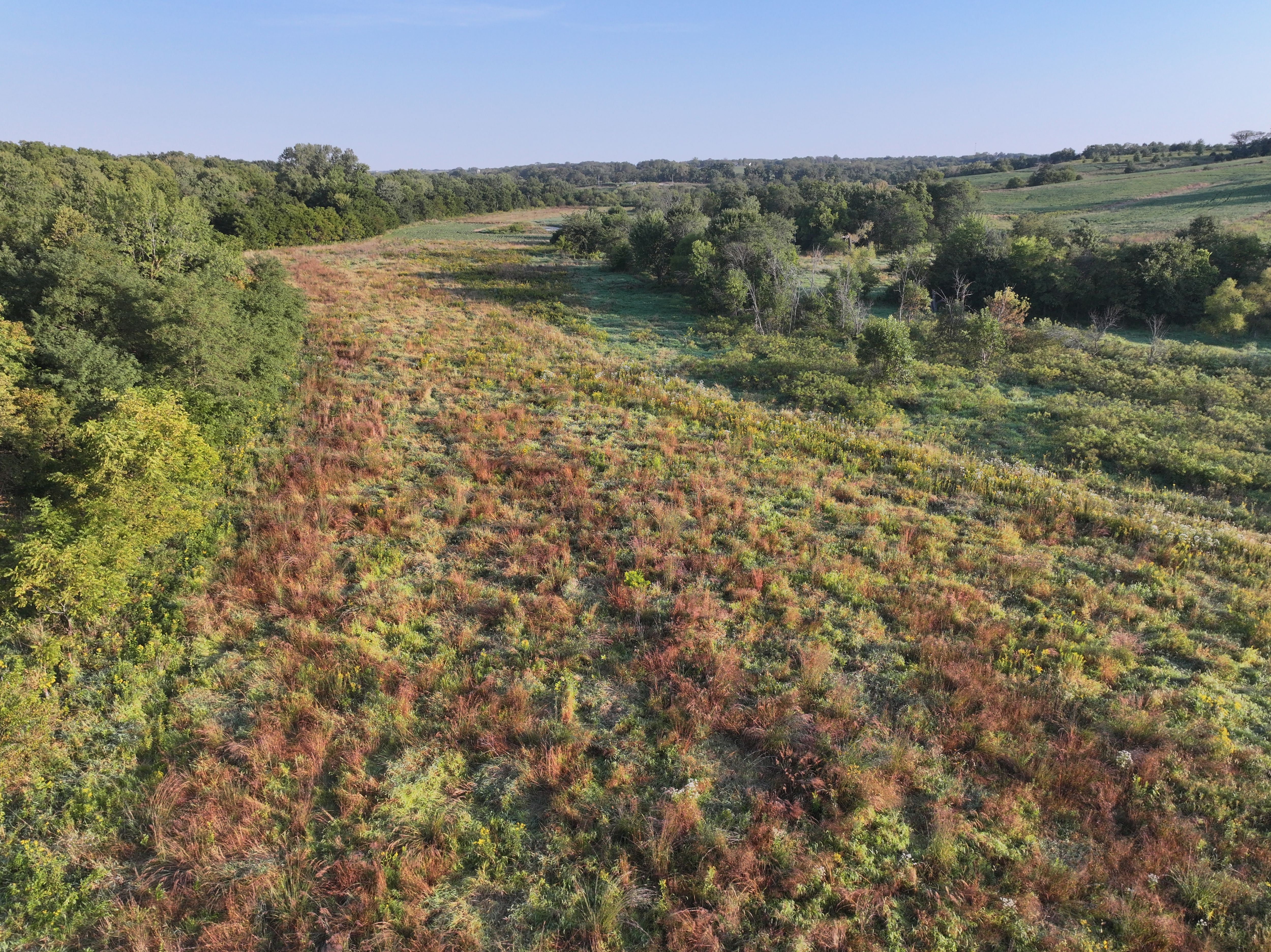 Listing Photo: DJI_20250908080252_0051_D