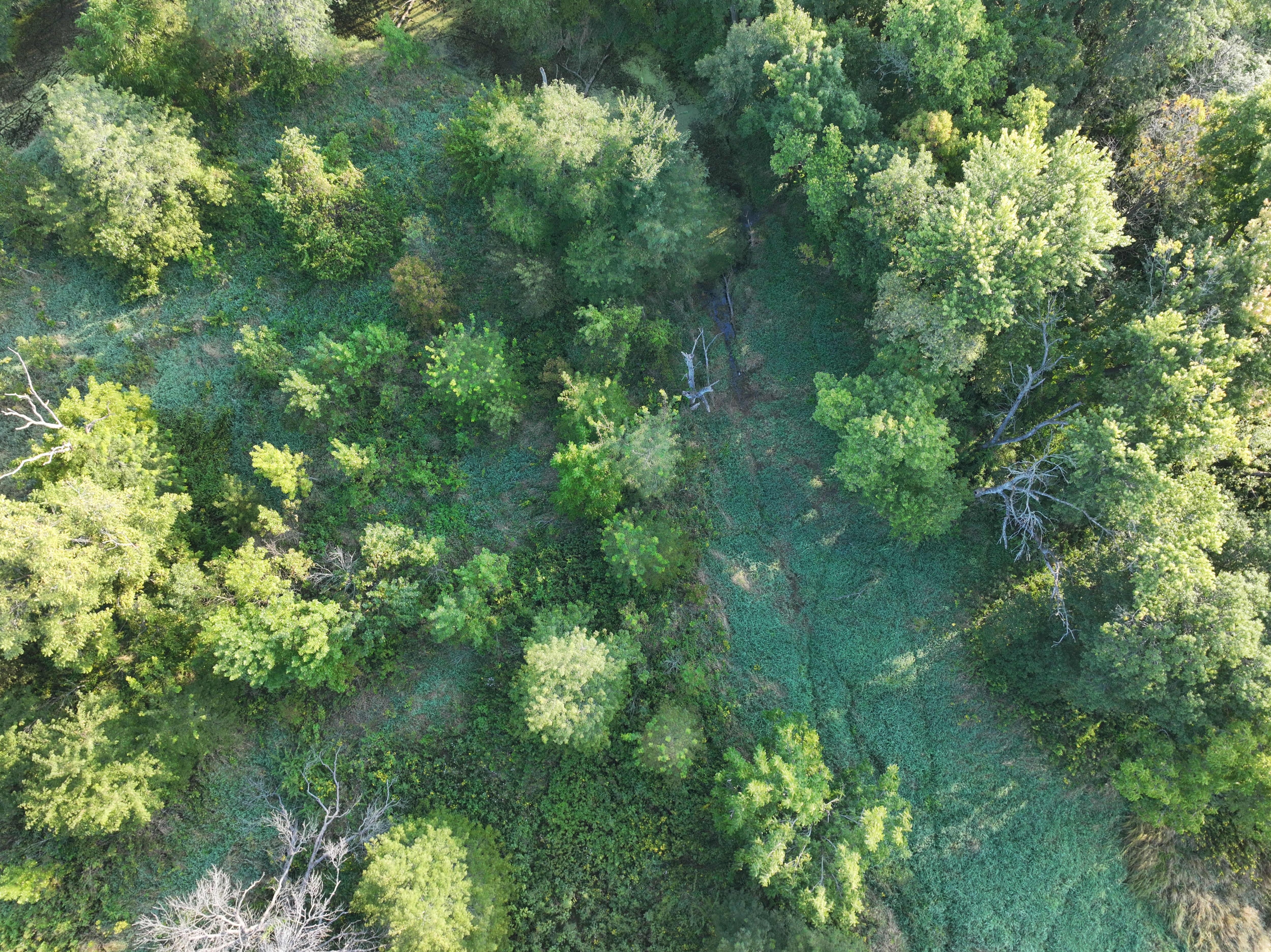 Listing Photo: DJI_20250908080545_0065_D