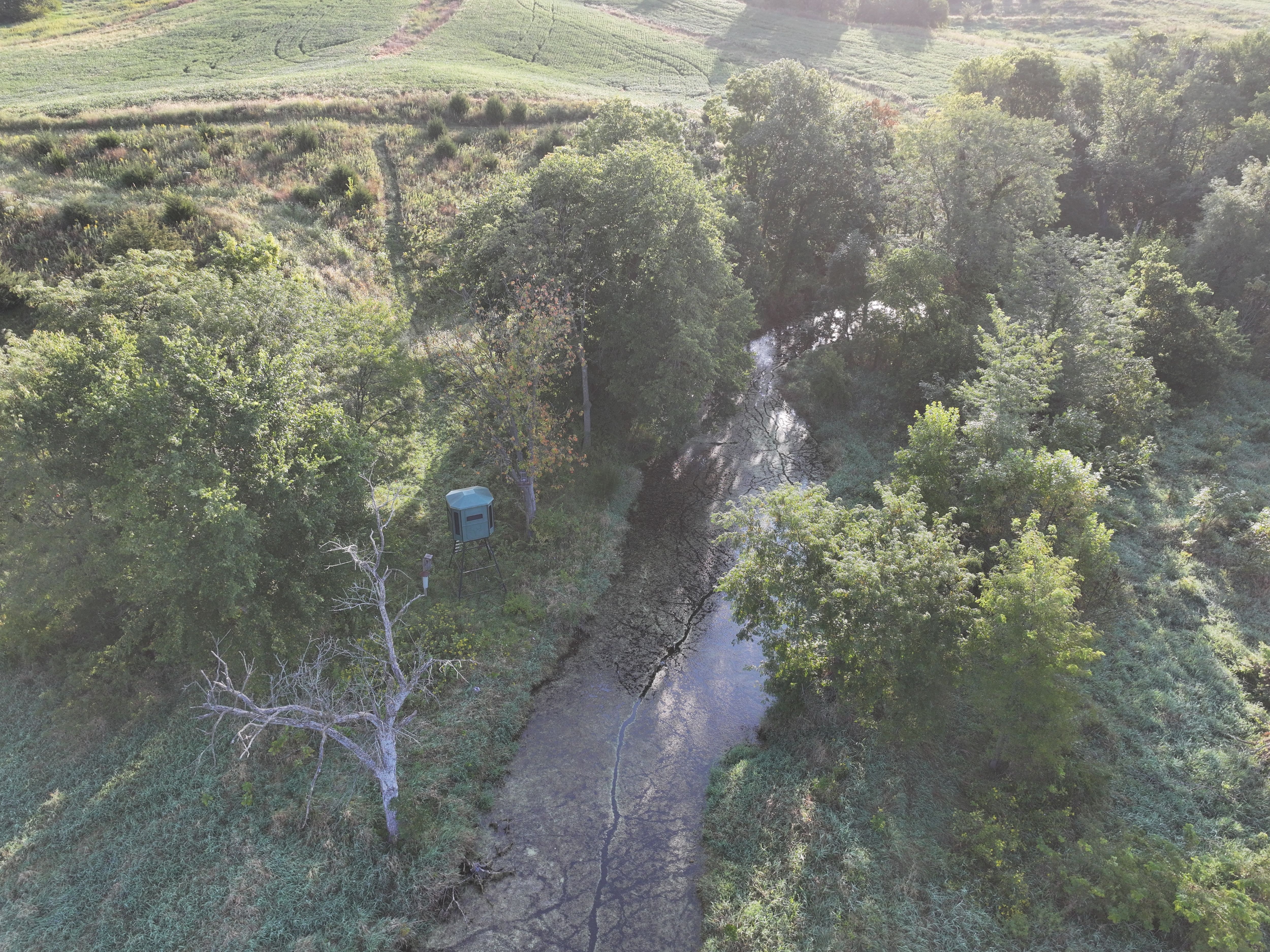 Listing Photo: DJI_20250908080603_0067_D