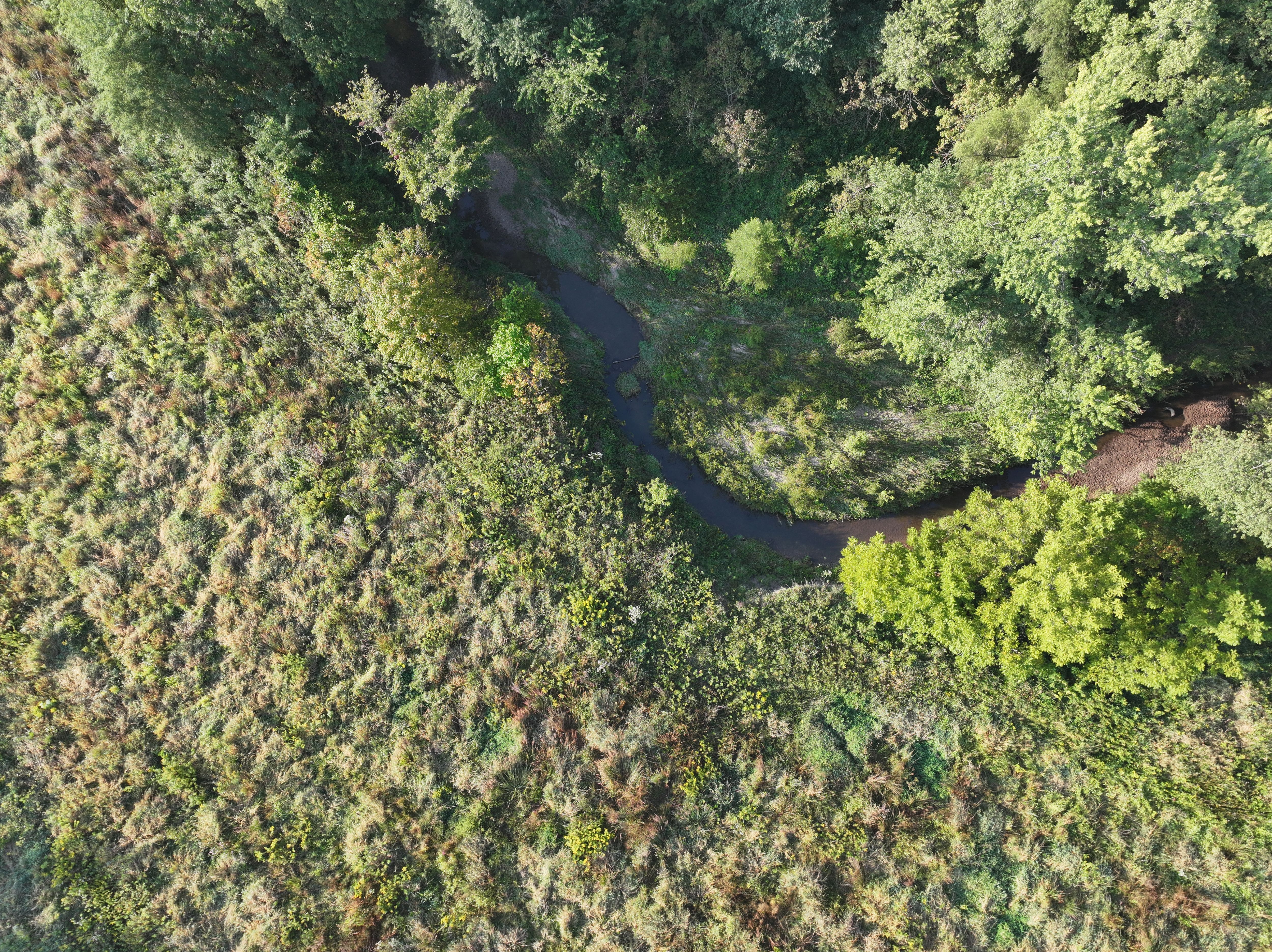 Listing Photo: DJI_20250908081417_0098_D