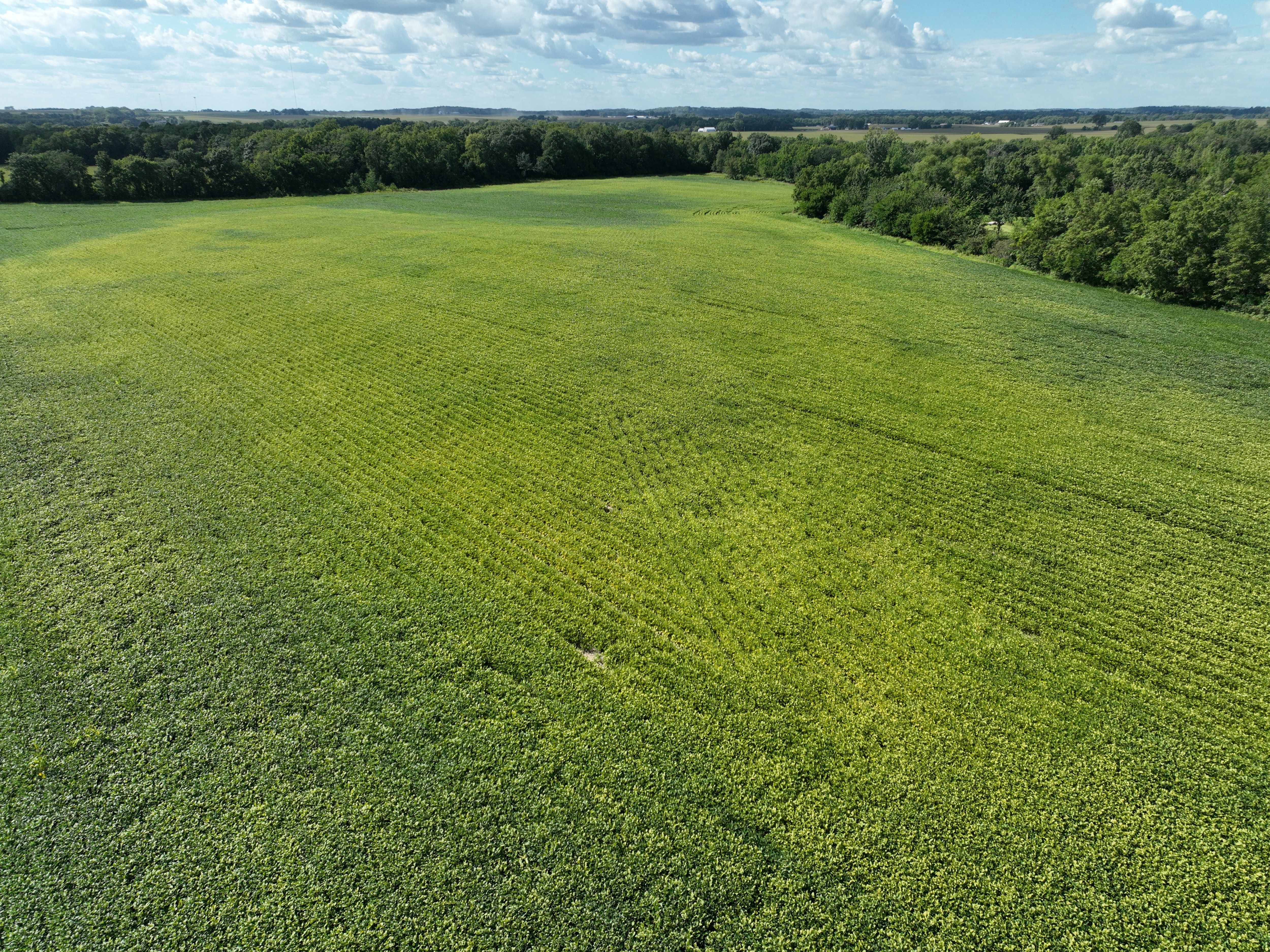 Listing Photo: DJI_0551