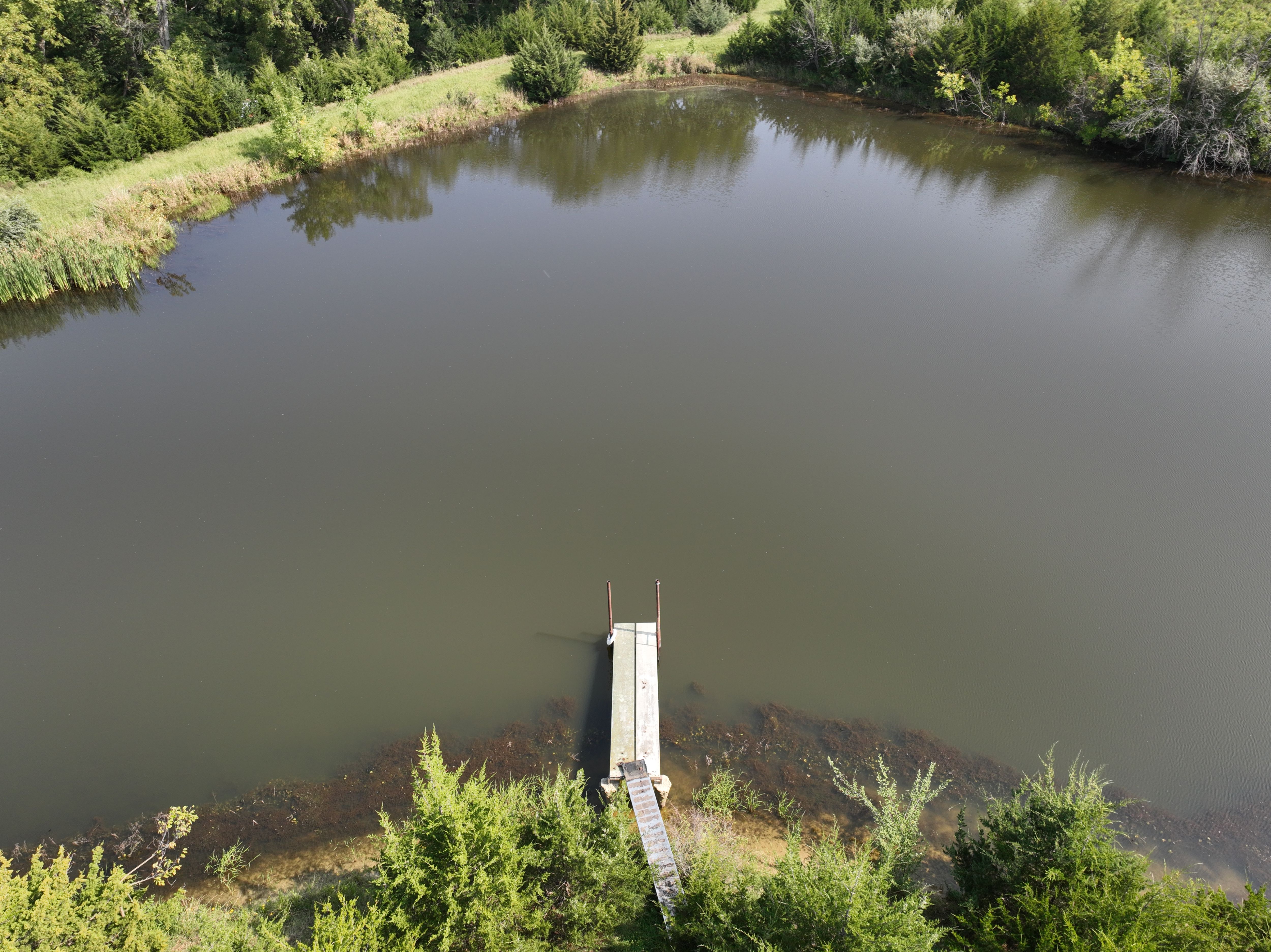 Listing Photo: DJI_0628