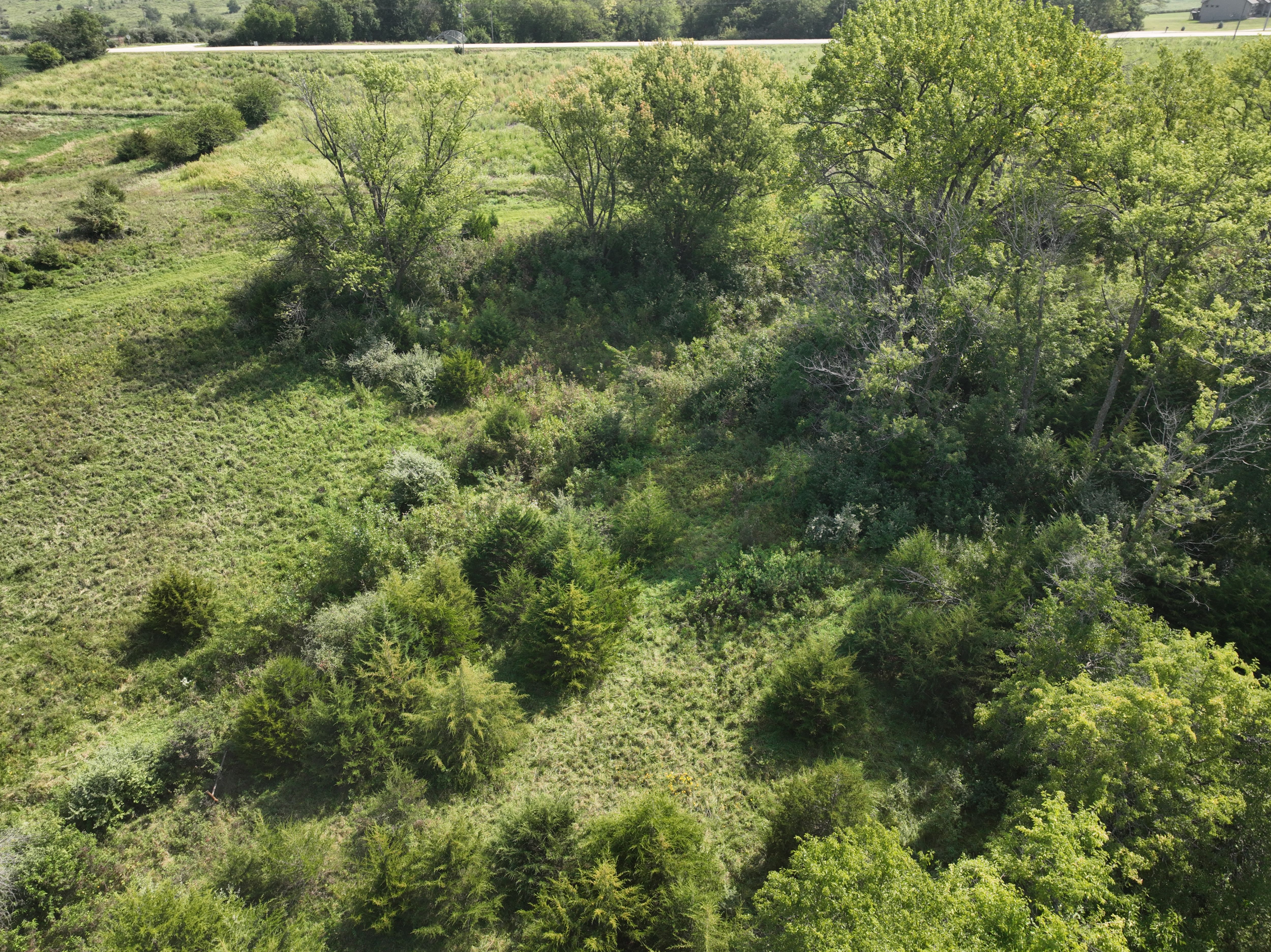 Listing Photo: DJI_0630