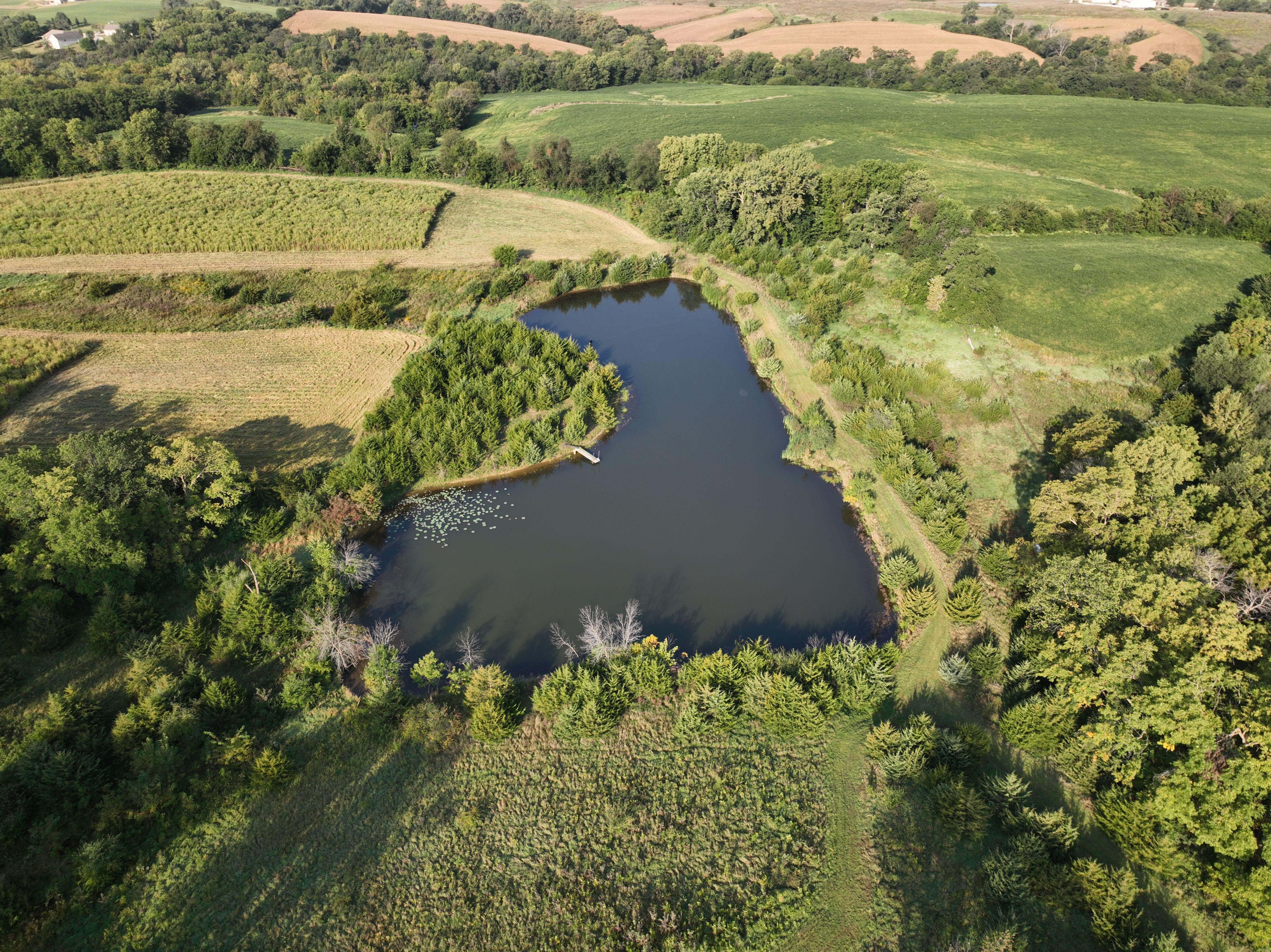 Listing Photo: DJI_0650