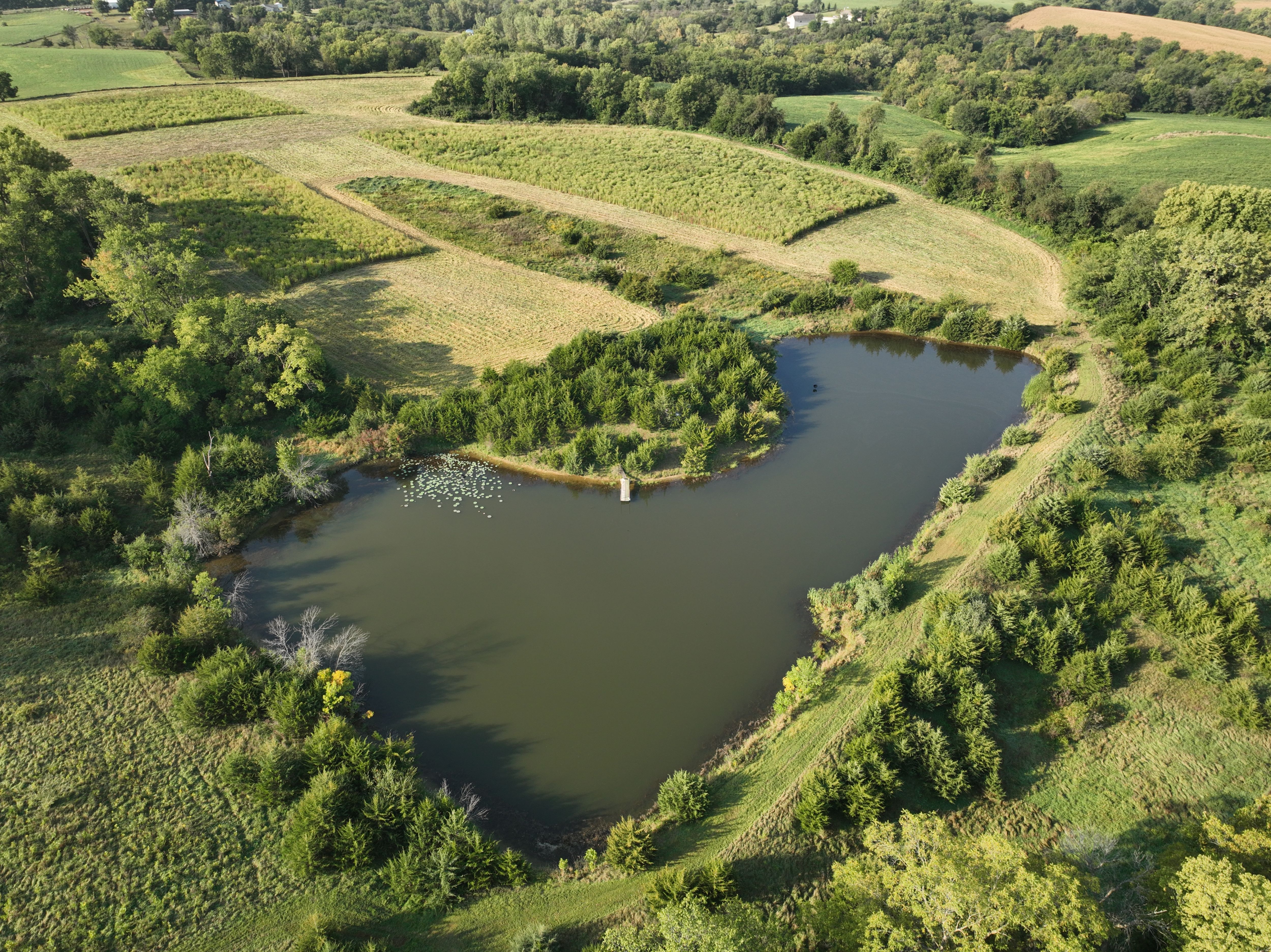 Listing Photo: DJI_0651