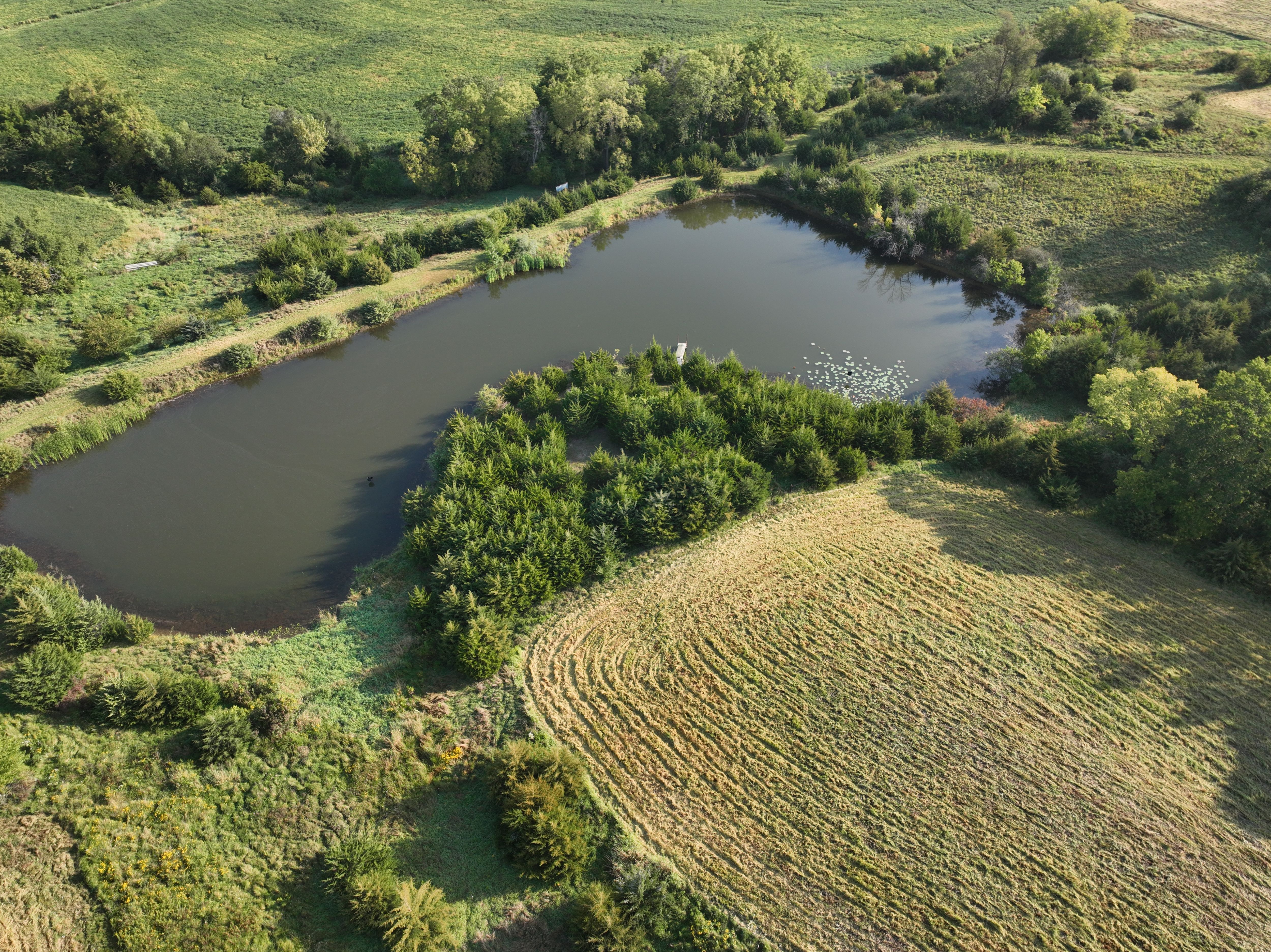 Listing Photo: DJI_0656