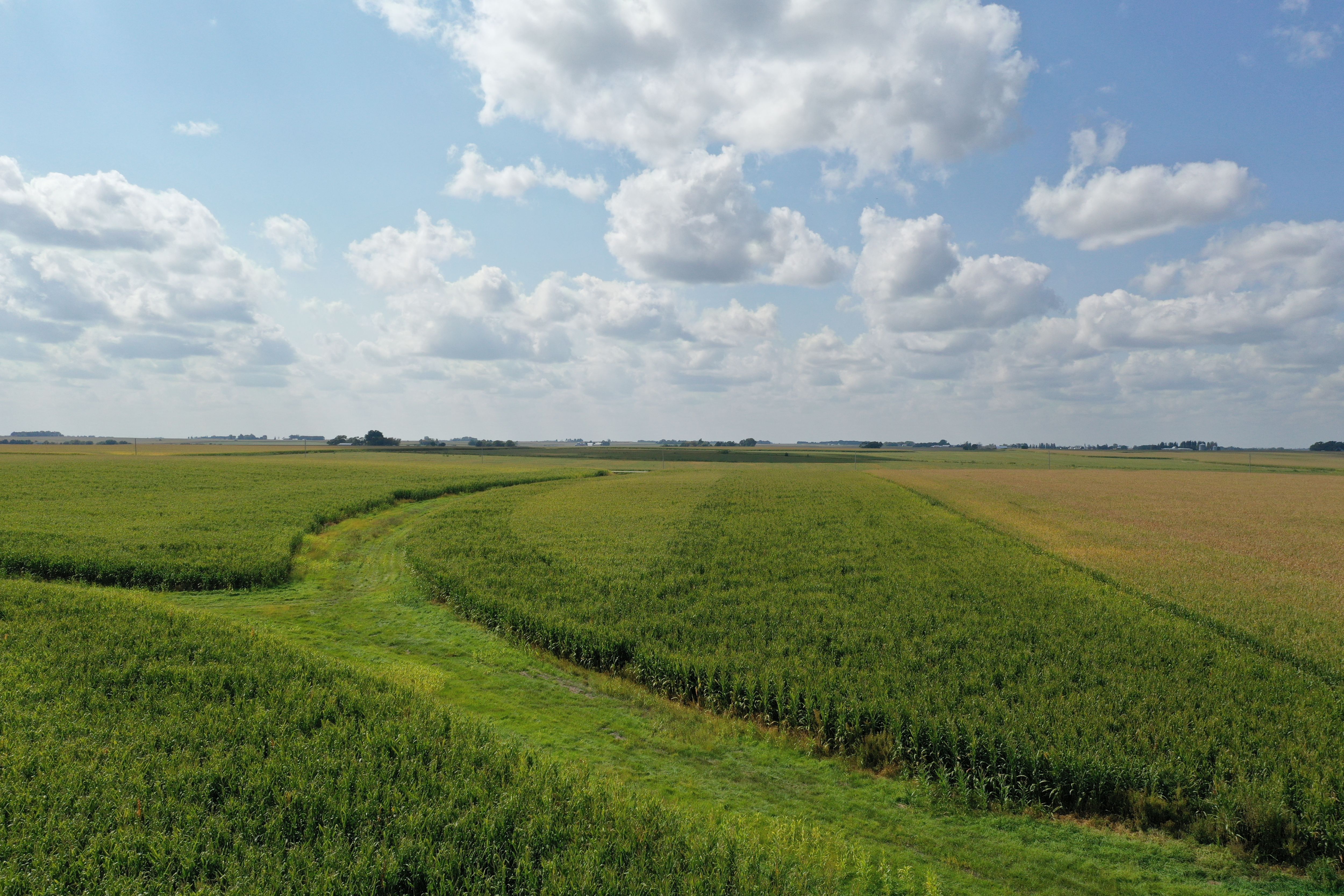 Listing Photo: Butler County Land Available