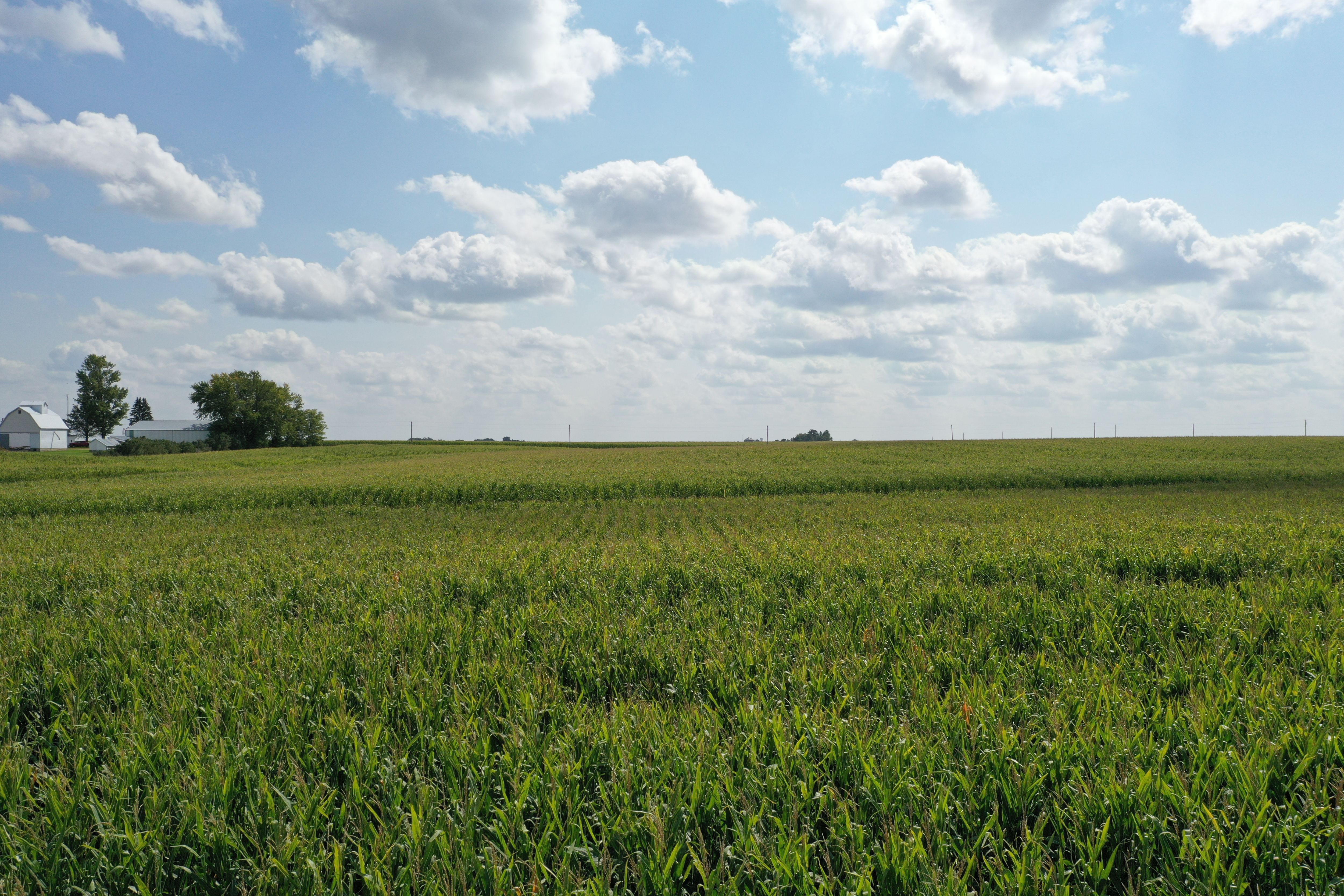 Listing Photo: High-Quality-Butler-County-Iowa-Farmland