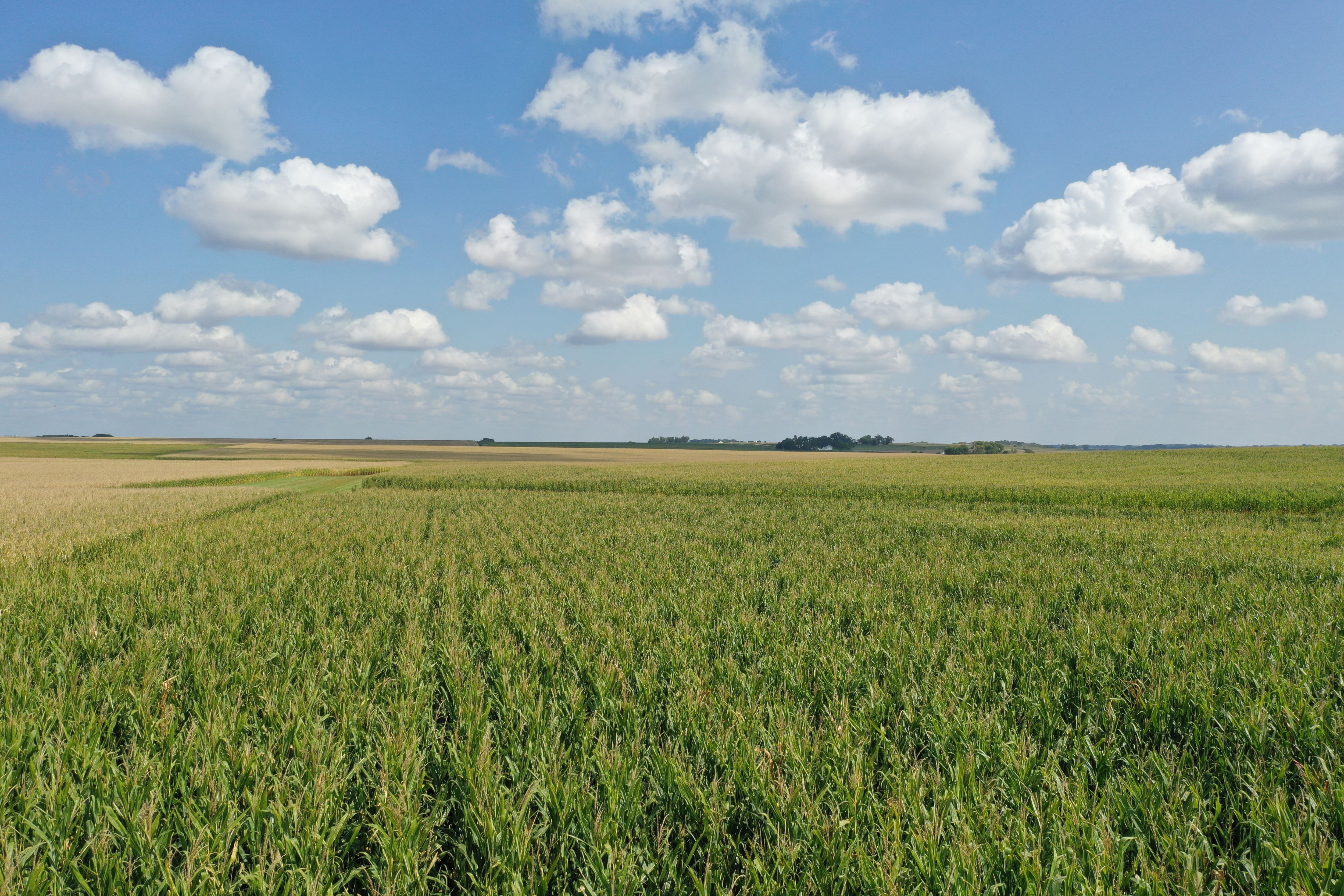 Listing Photo: Butler-Co-IA-Farm