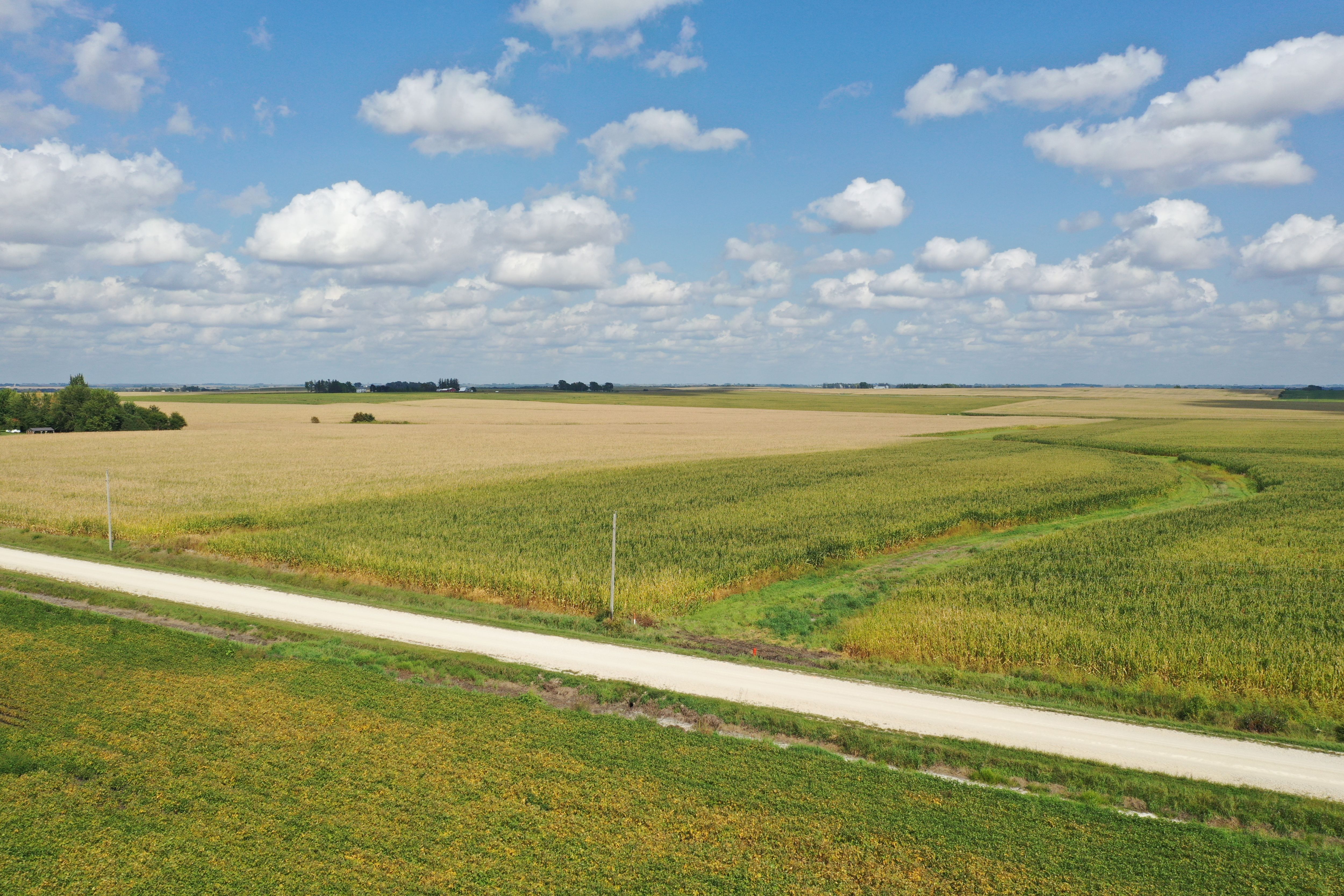 Listing Photo: Butler-Farmland-For-Sale