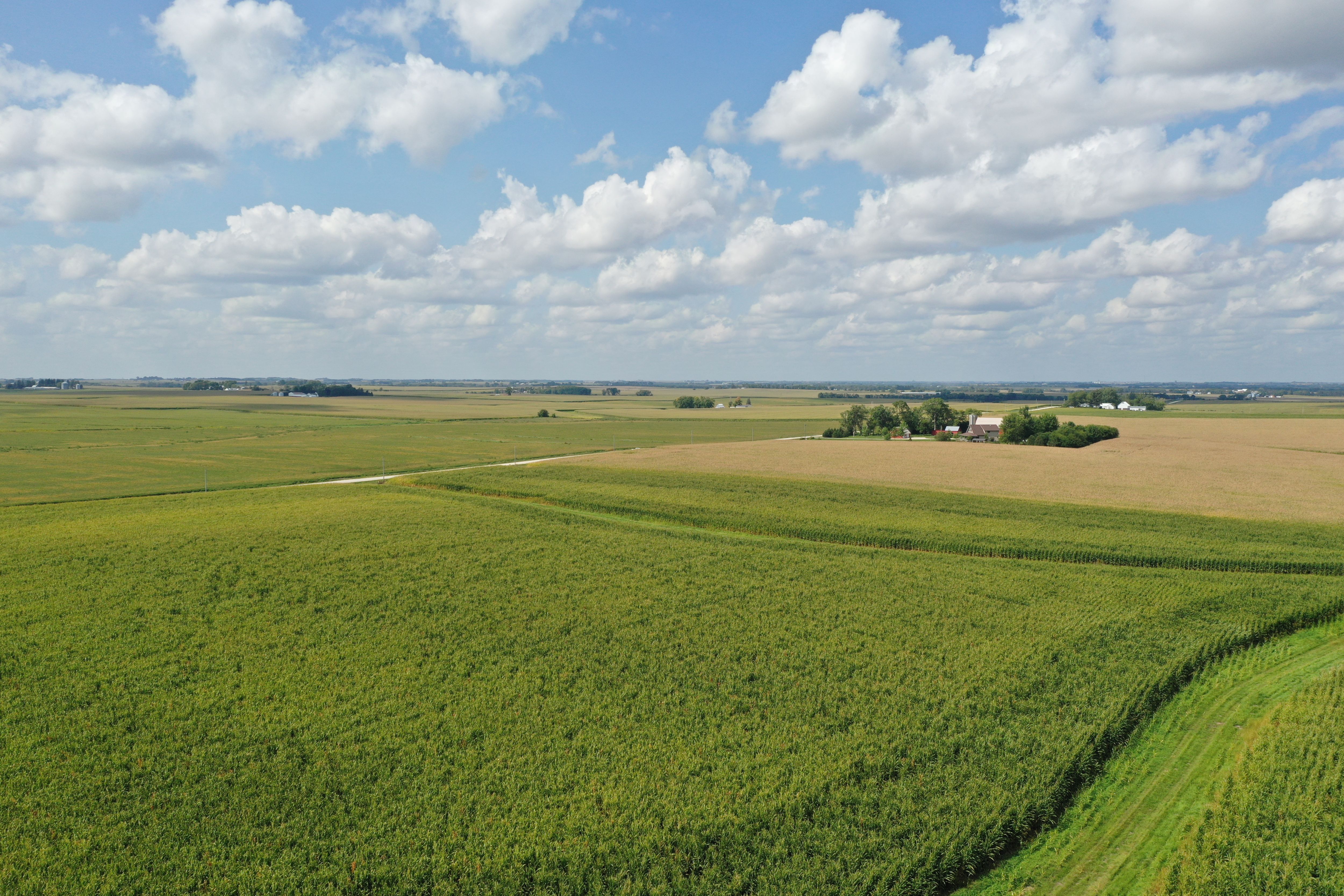 Listing Photo: Farm-For-Sale