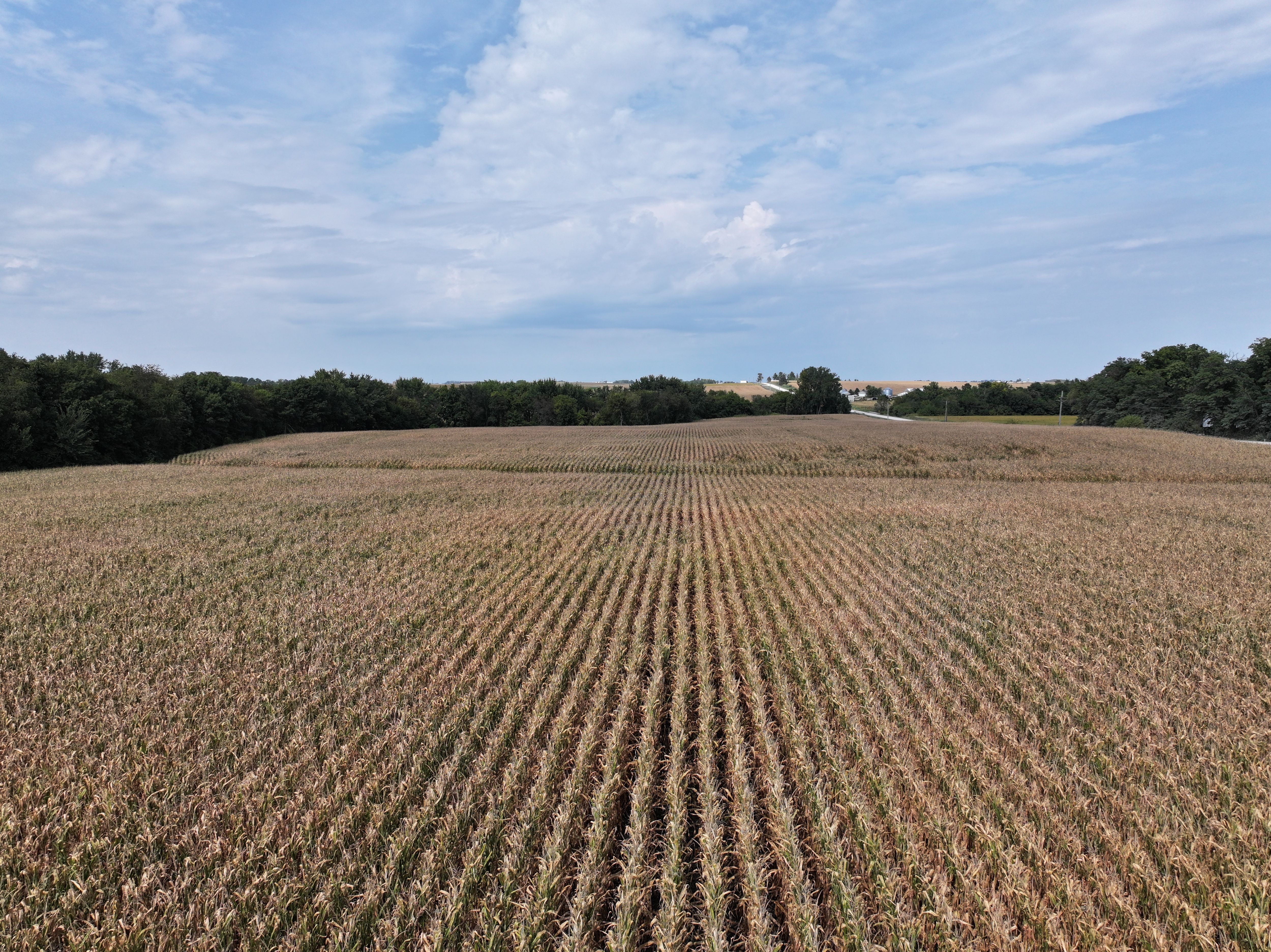 Listing Photo: DJI_20250917142330_0088_D