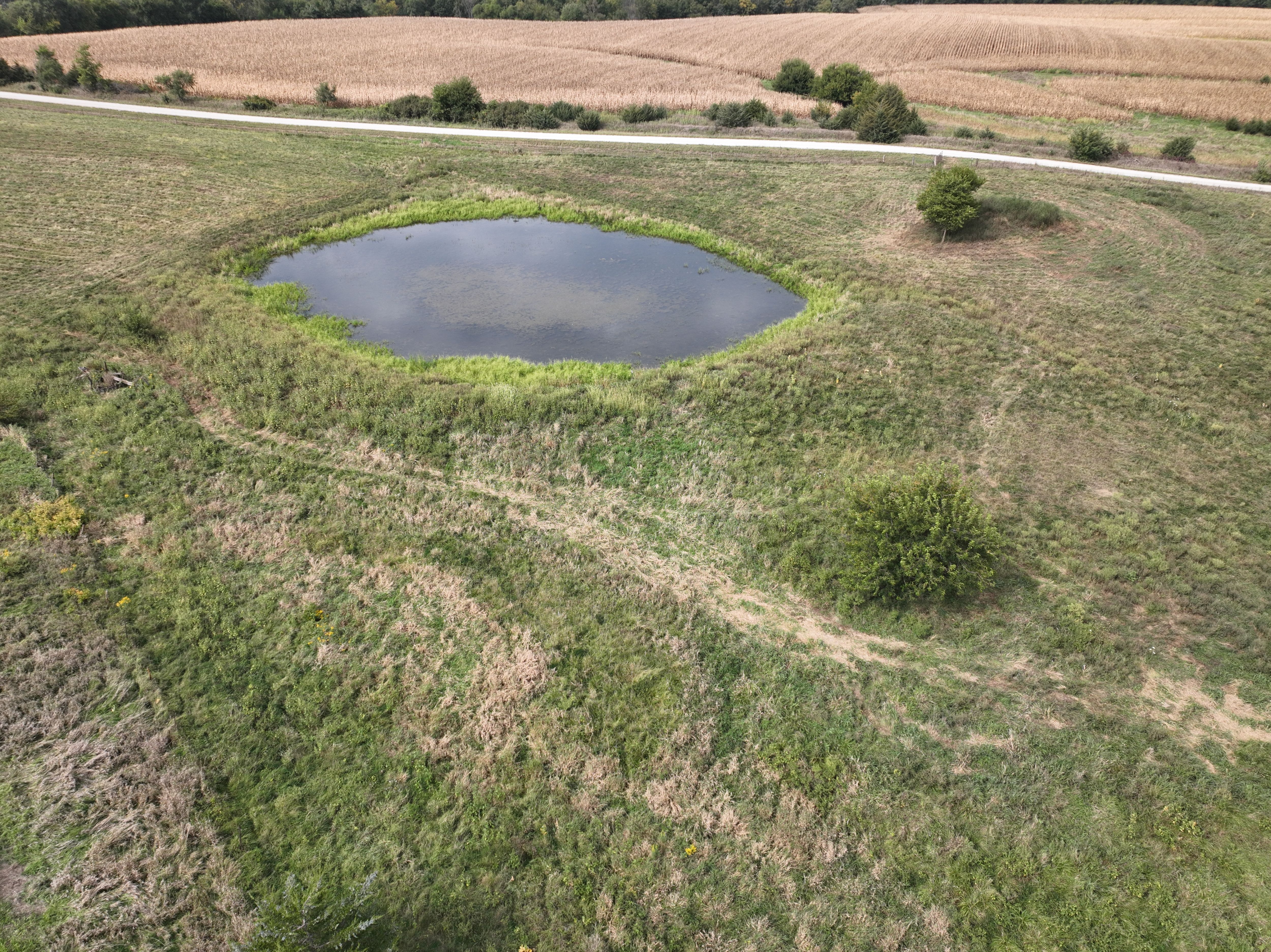 Listing Photo: DJI_0686