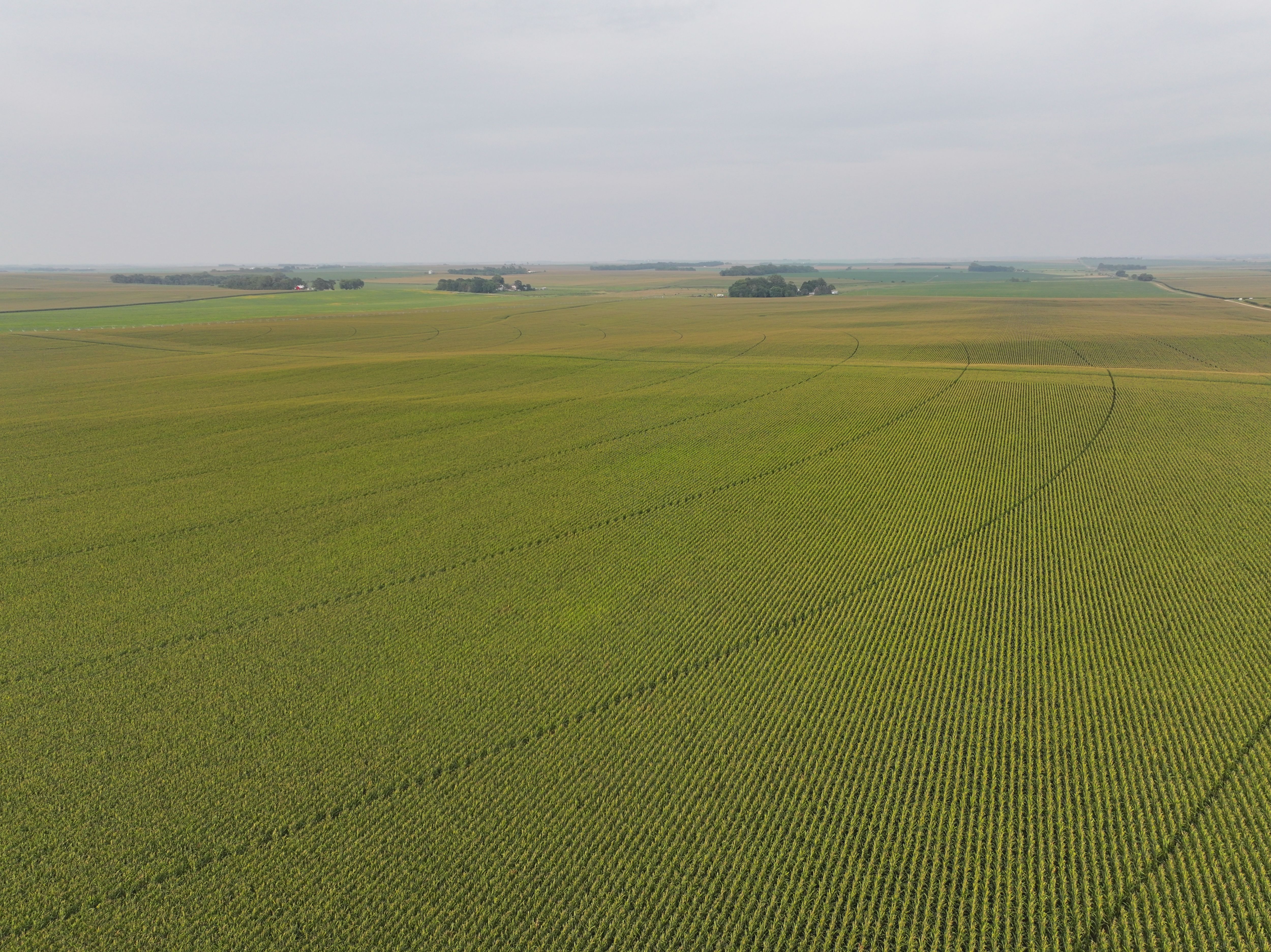 Listing Photo: DJI_20250830123059_0140_D