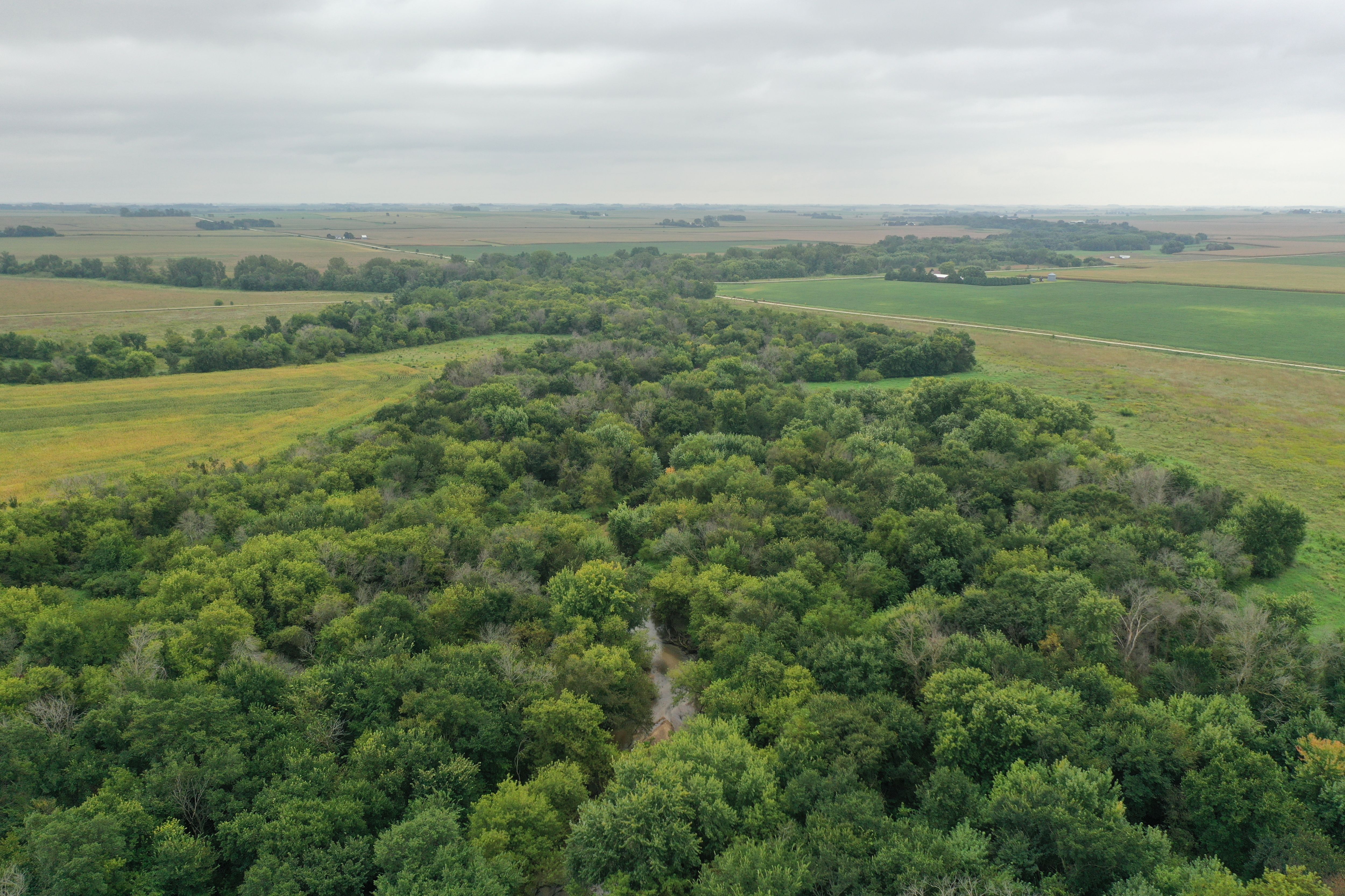 Listing Photo: DJI_0457