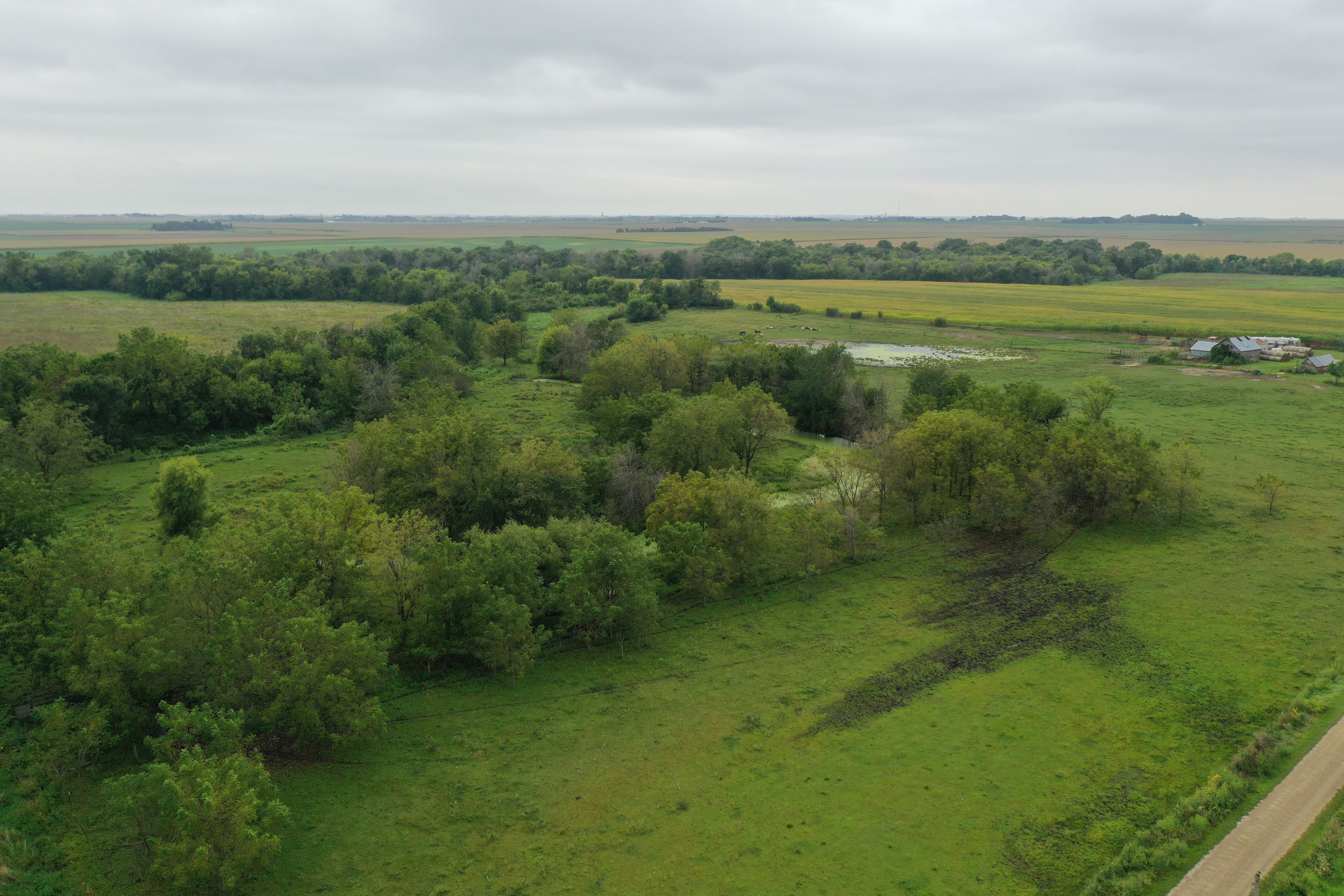 Listing Photo: DJI_0471