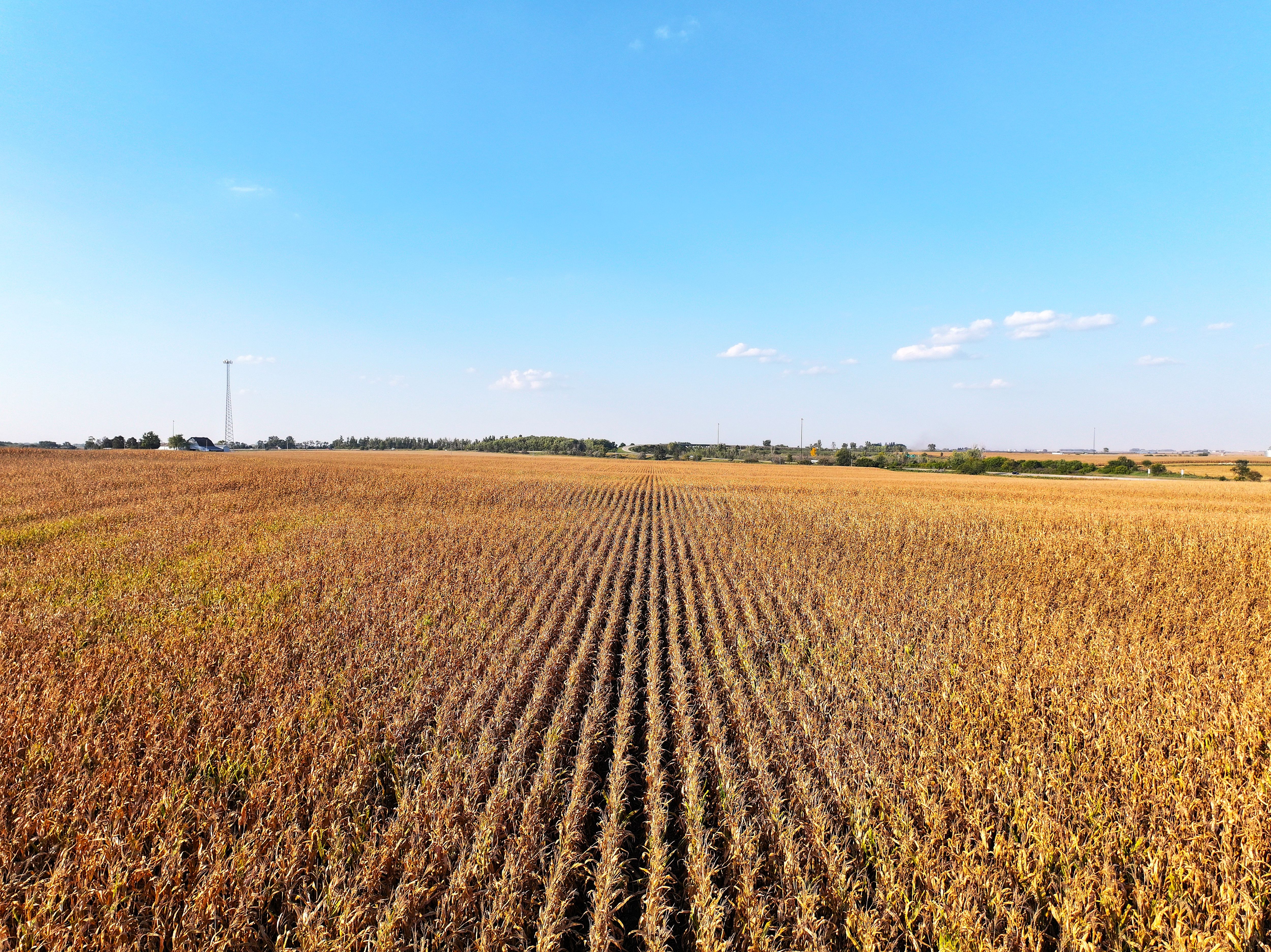 Listing Photo: Quality-Farm-Land-Auction