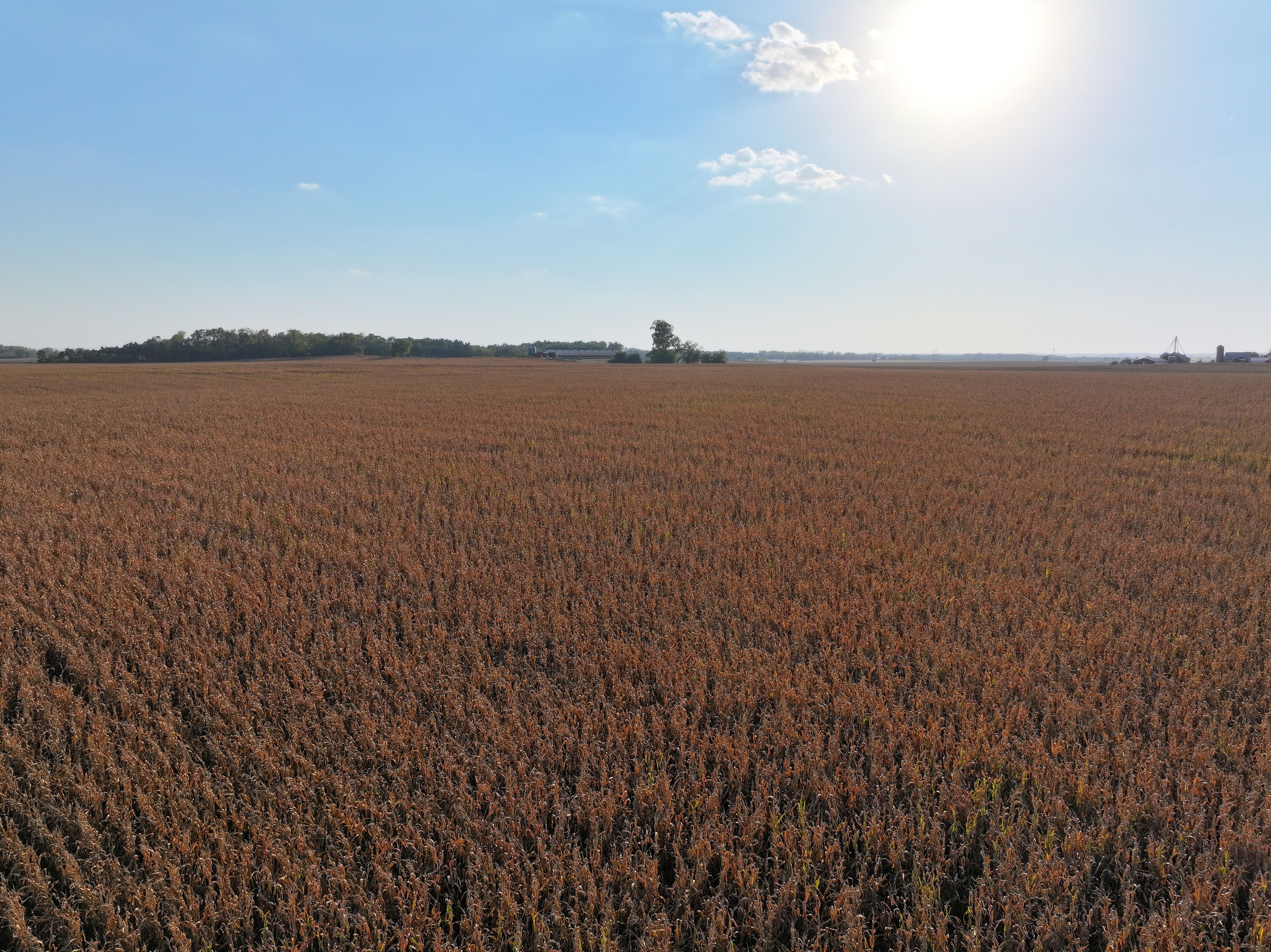 Listing Photo: Iowa-Farmland-Auction