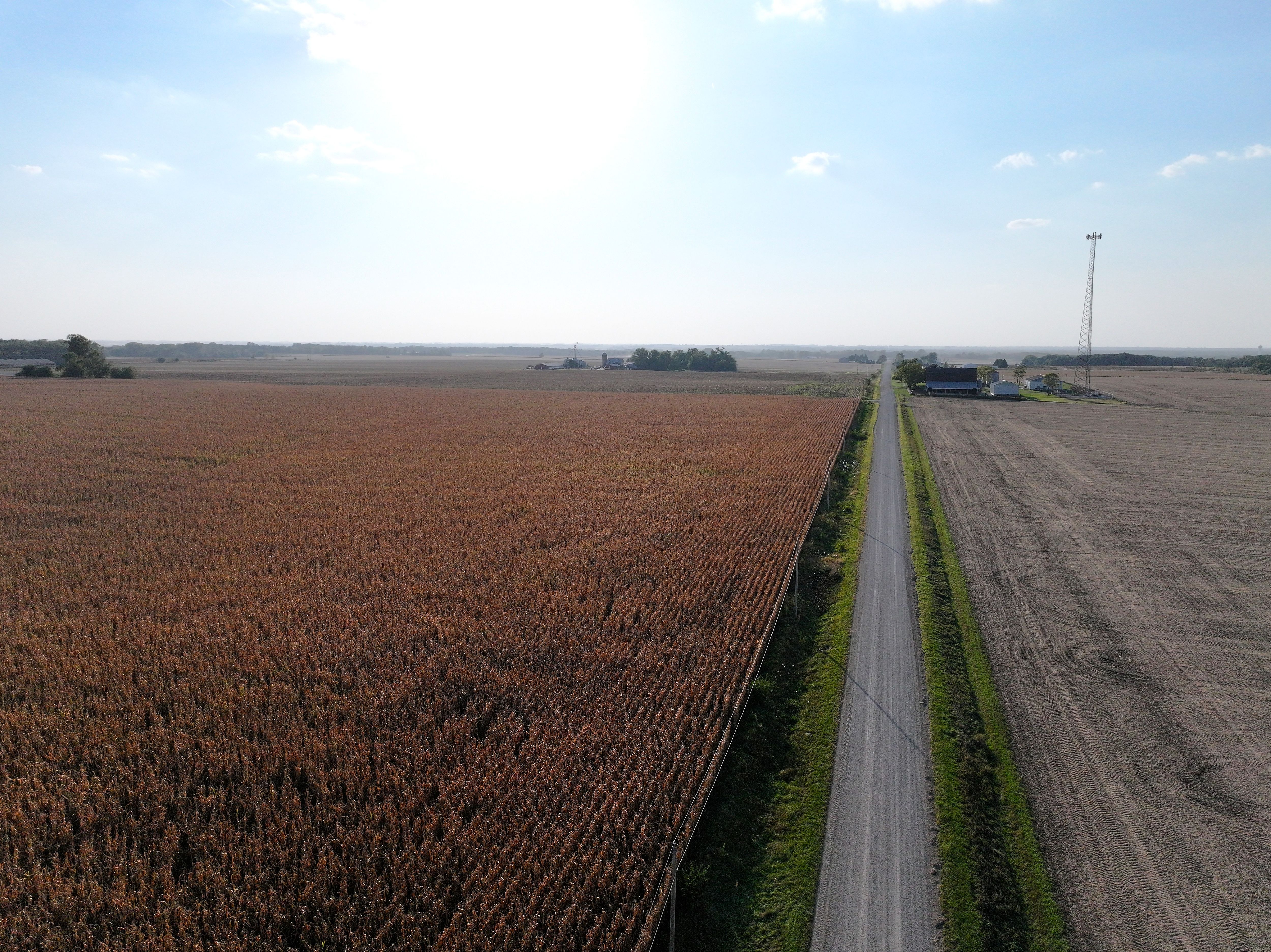 Listing Photo: Black-Hawk-County-Farmland-Auction
