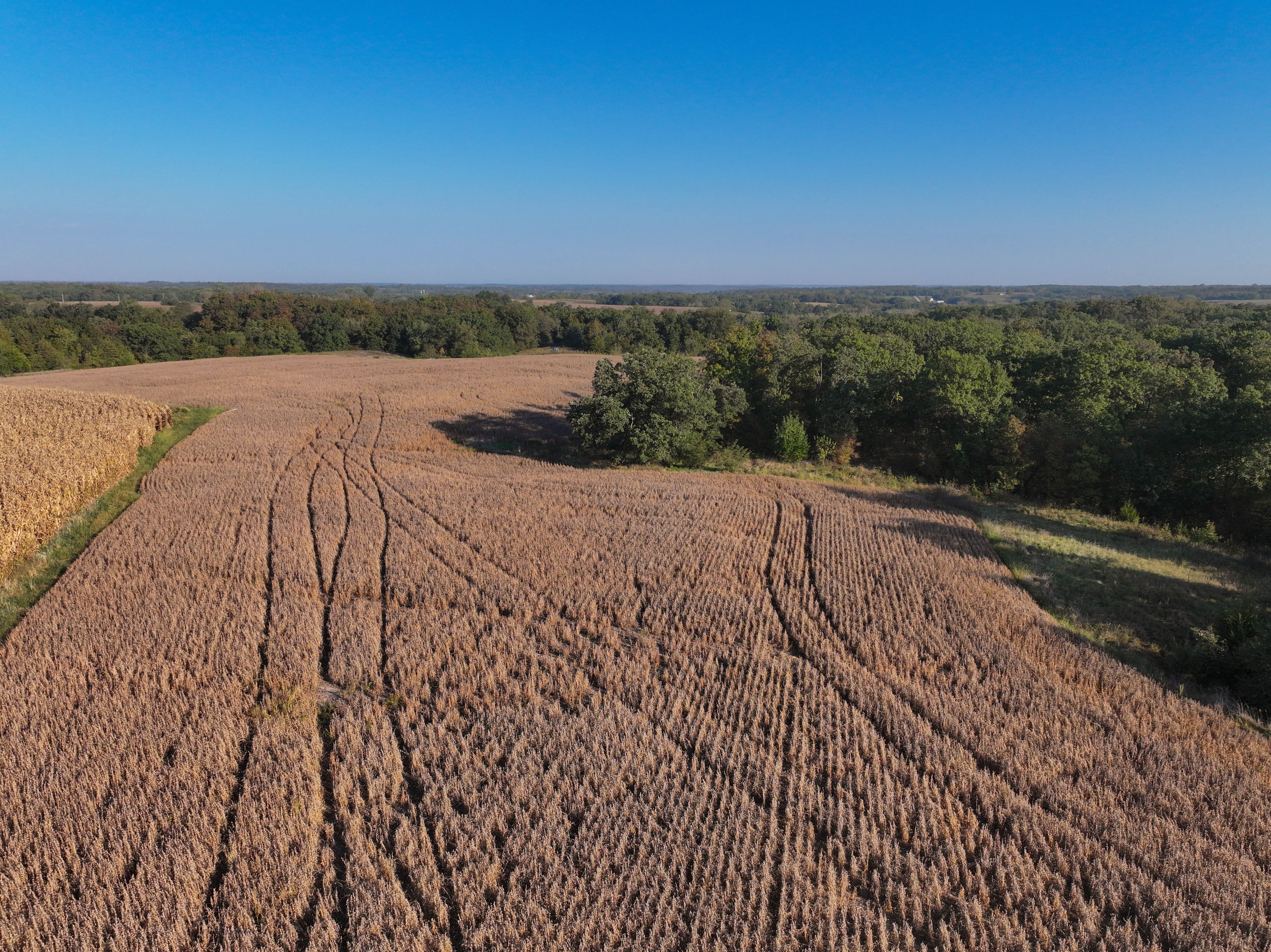 Listing Photo: DJI_20251003085612_0108_D
