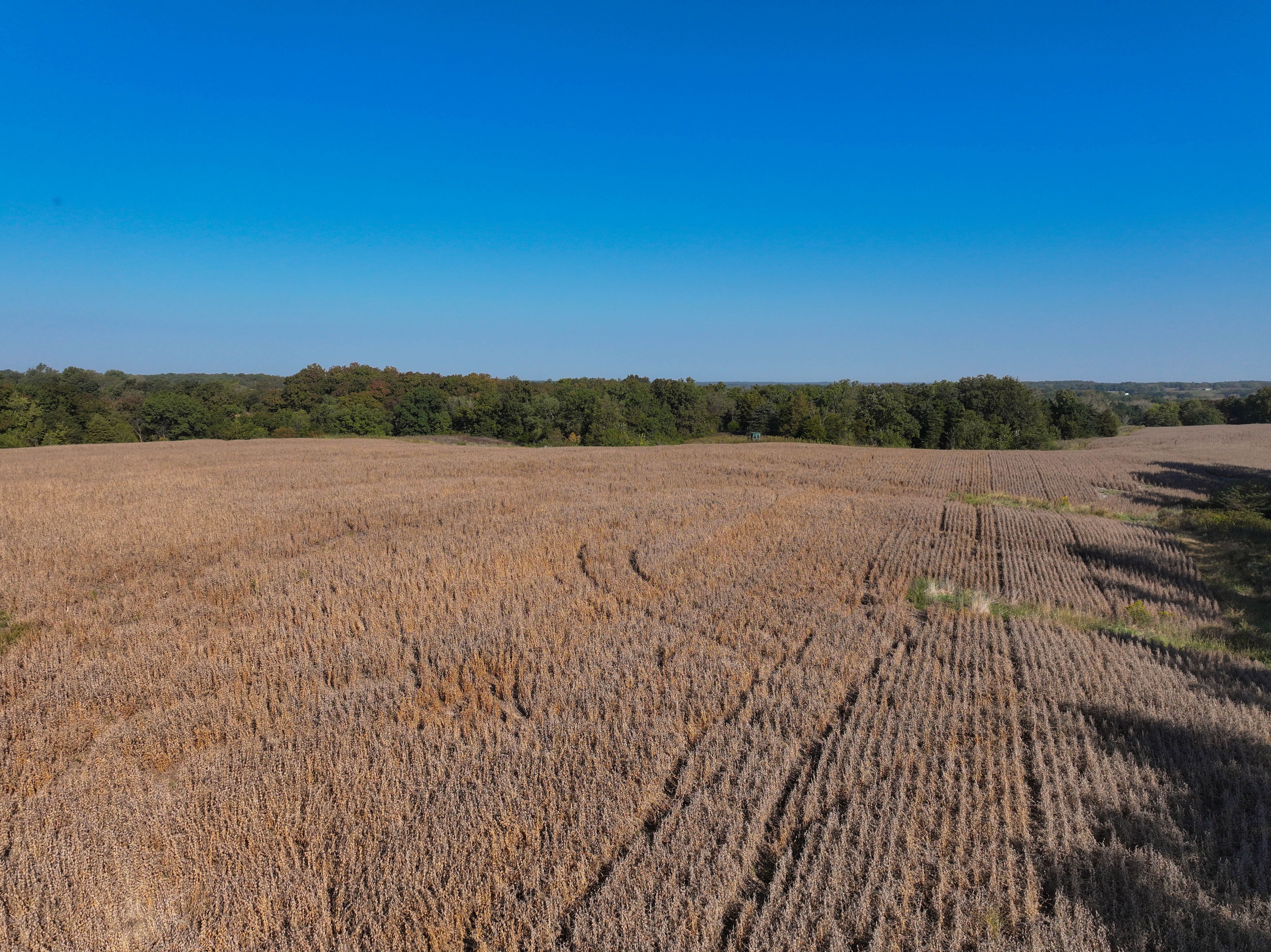 Listing Photo: DJI_20251003095759_0158_D