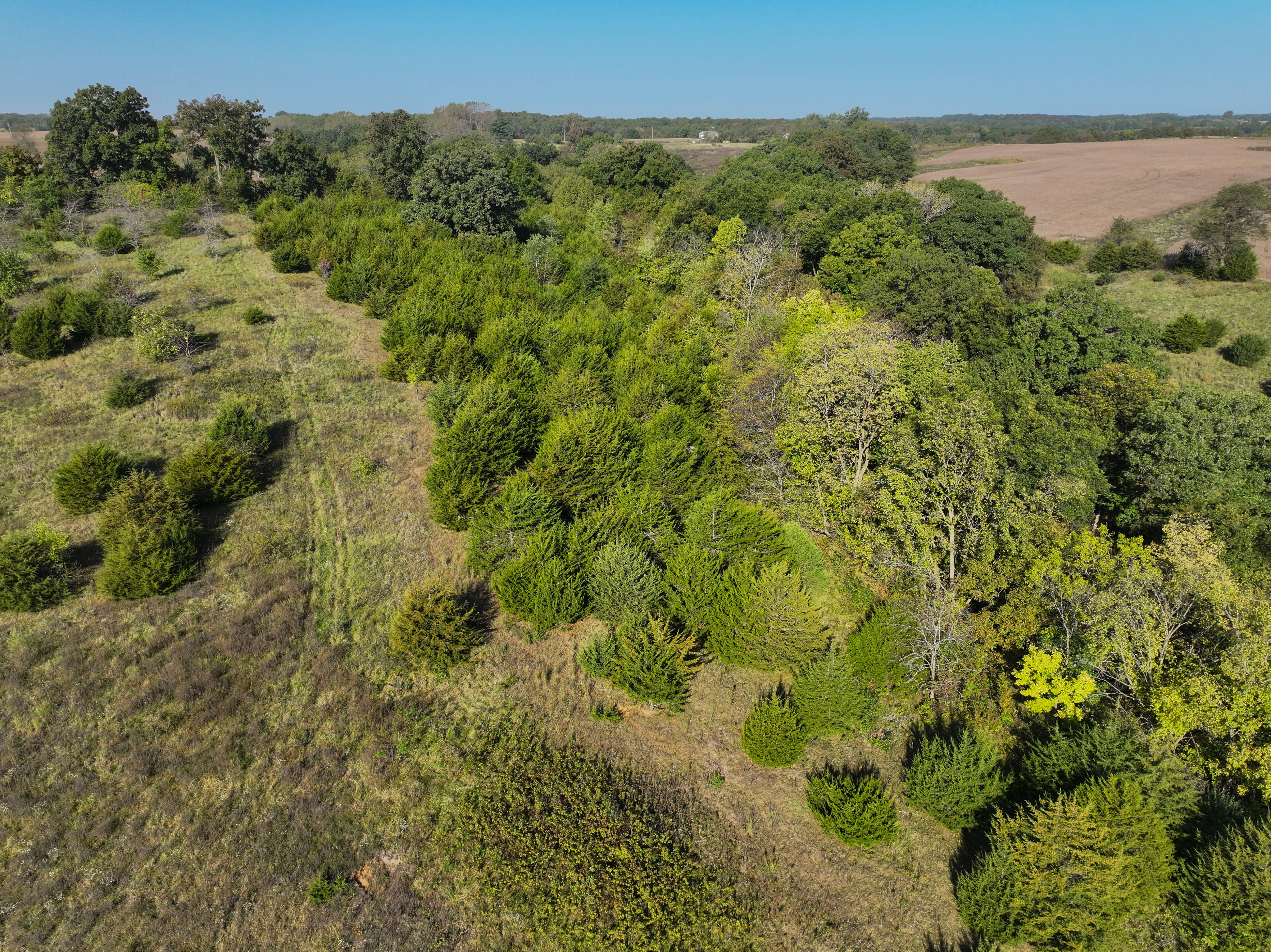 Listing Photo: DJI_20251003100007_0162_D