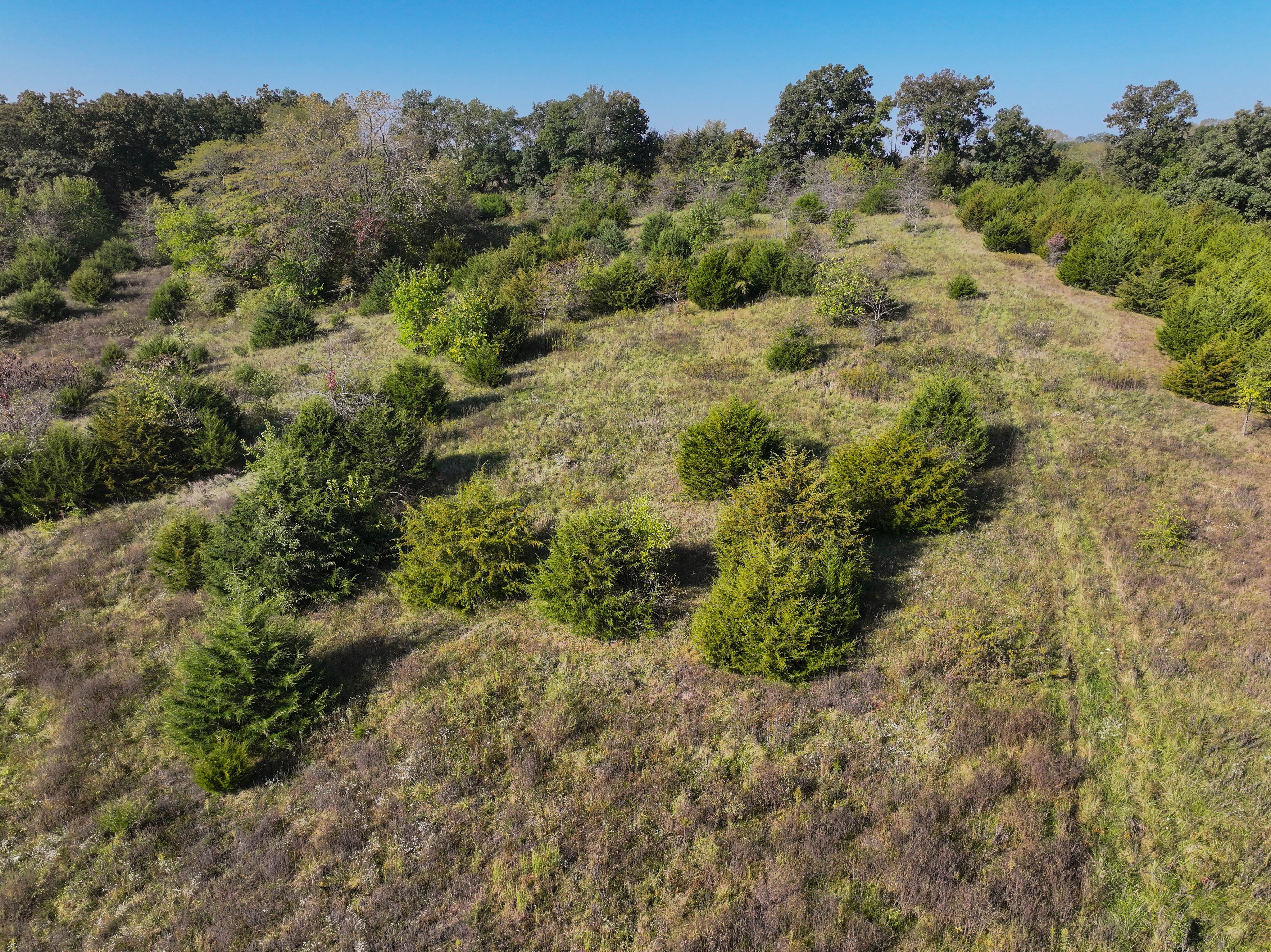 Listing Photo: DJI_20251003100034_0166_D