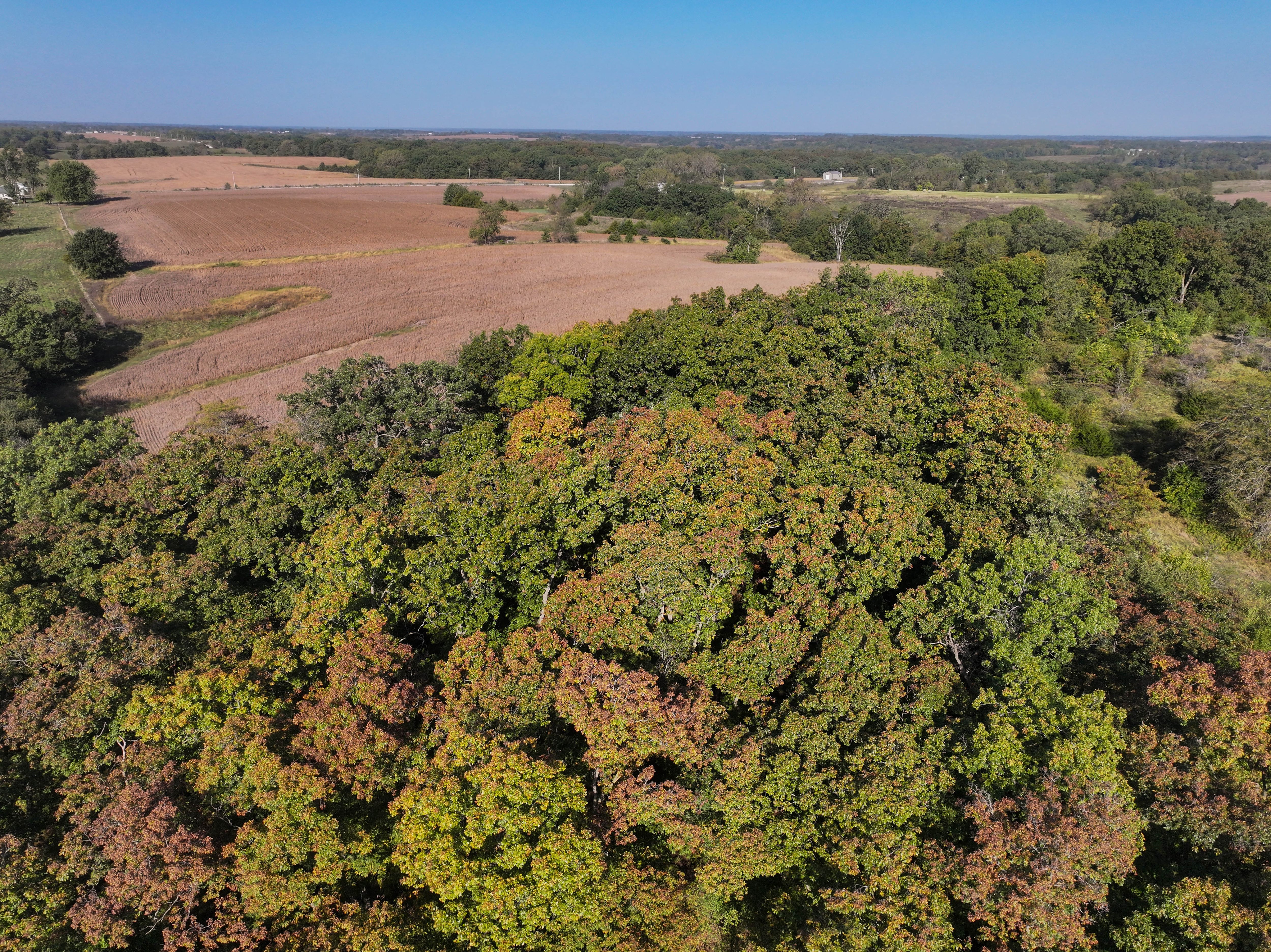 Listing Photo: DJI_20251003100108_0168_D