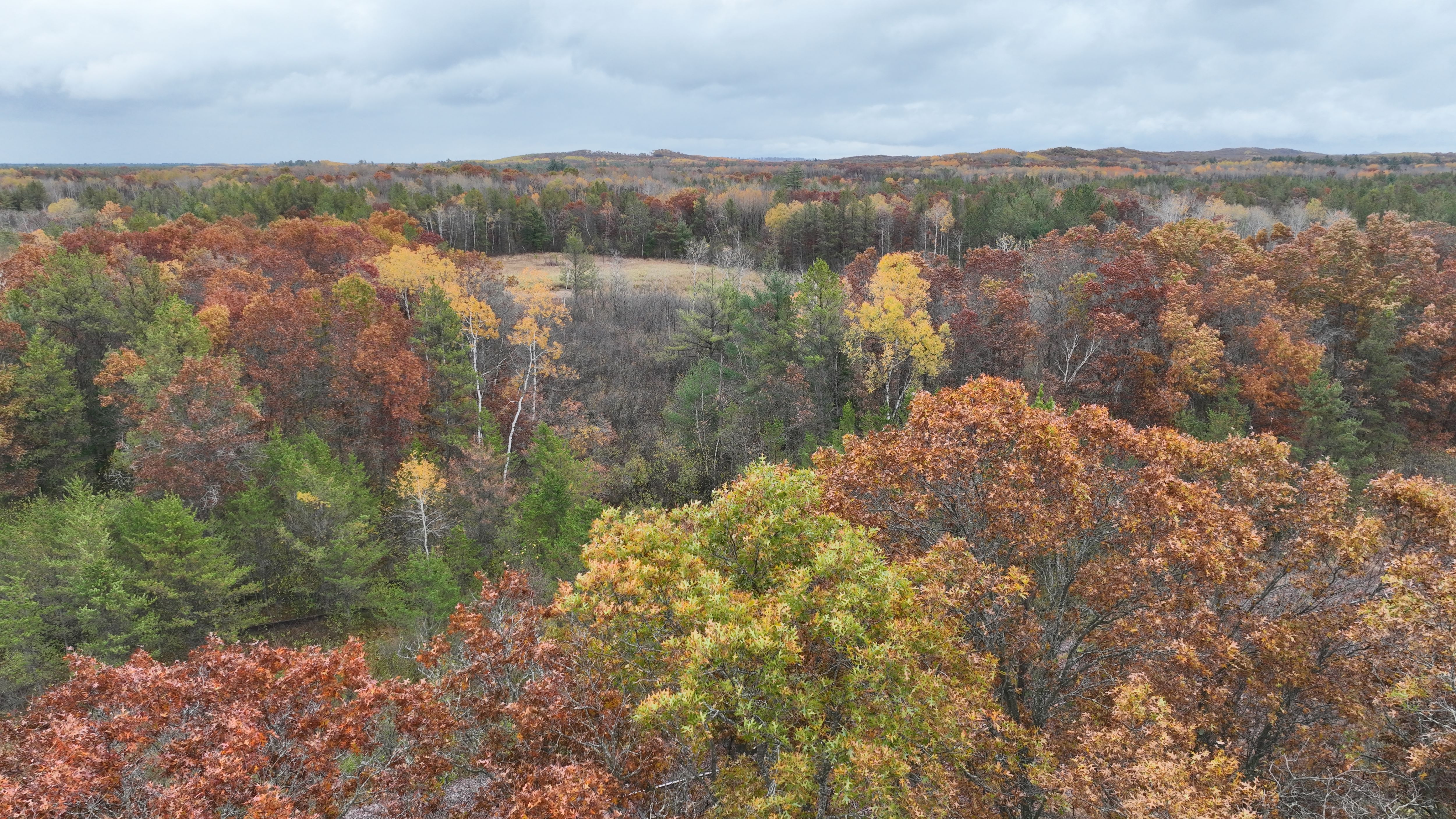 Listing Photo: DJI_0653