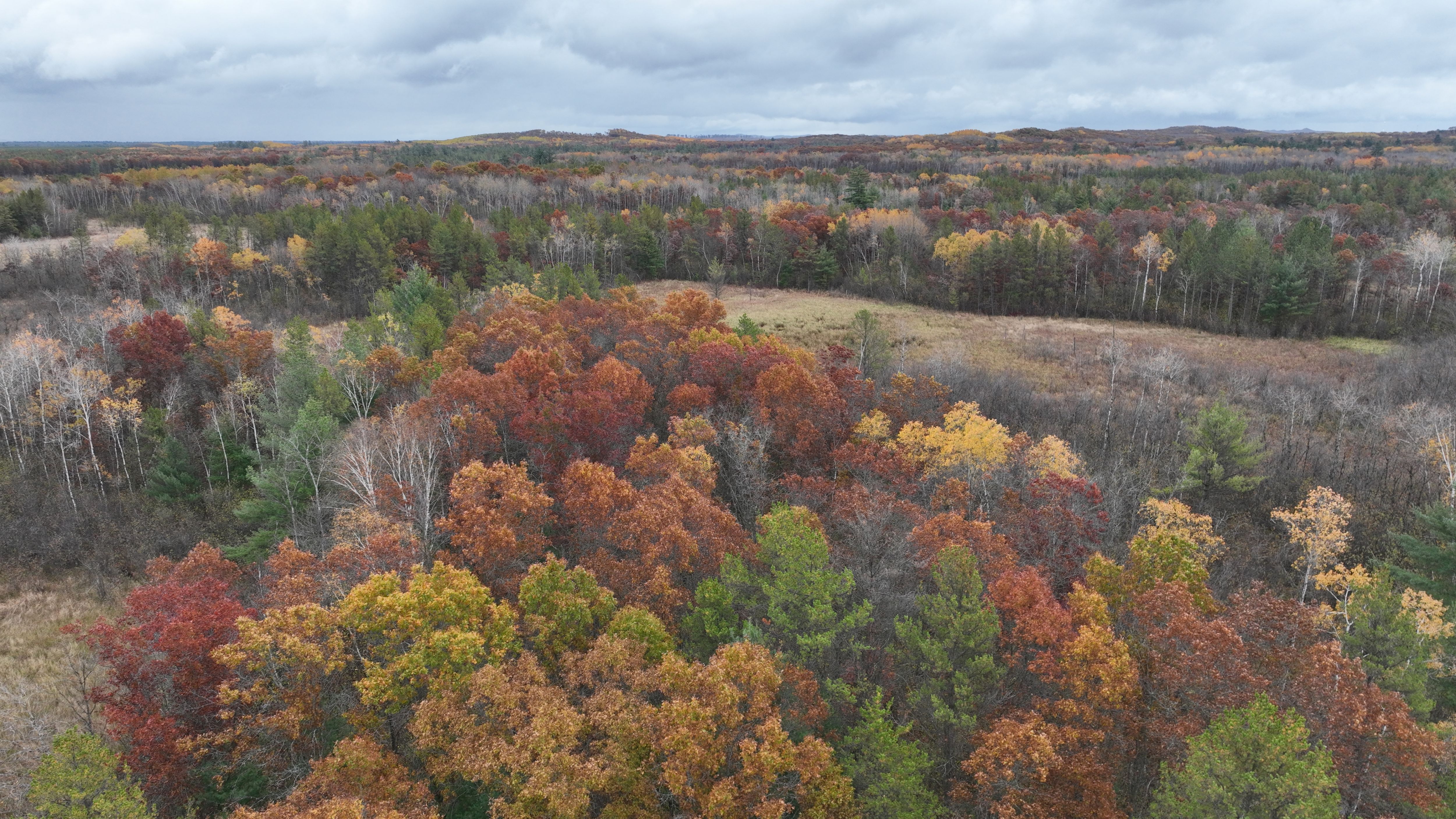 Listing Photo: DJI_0660