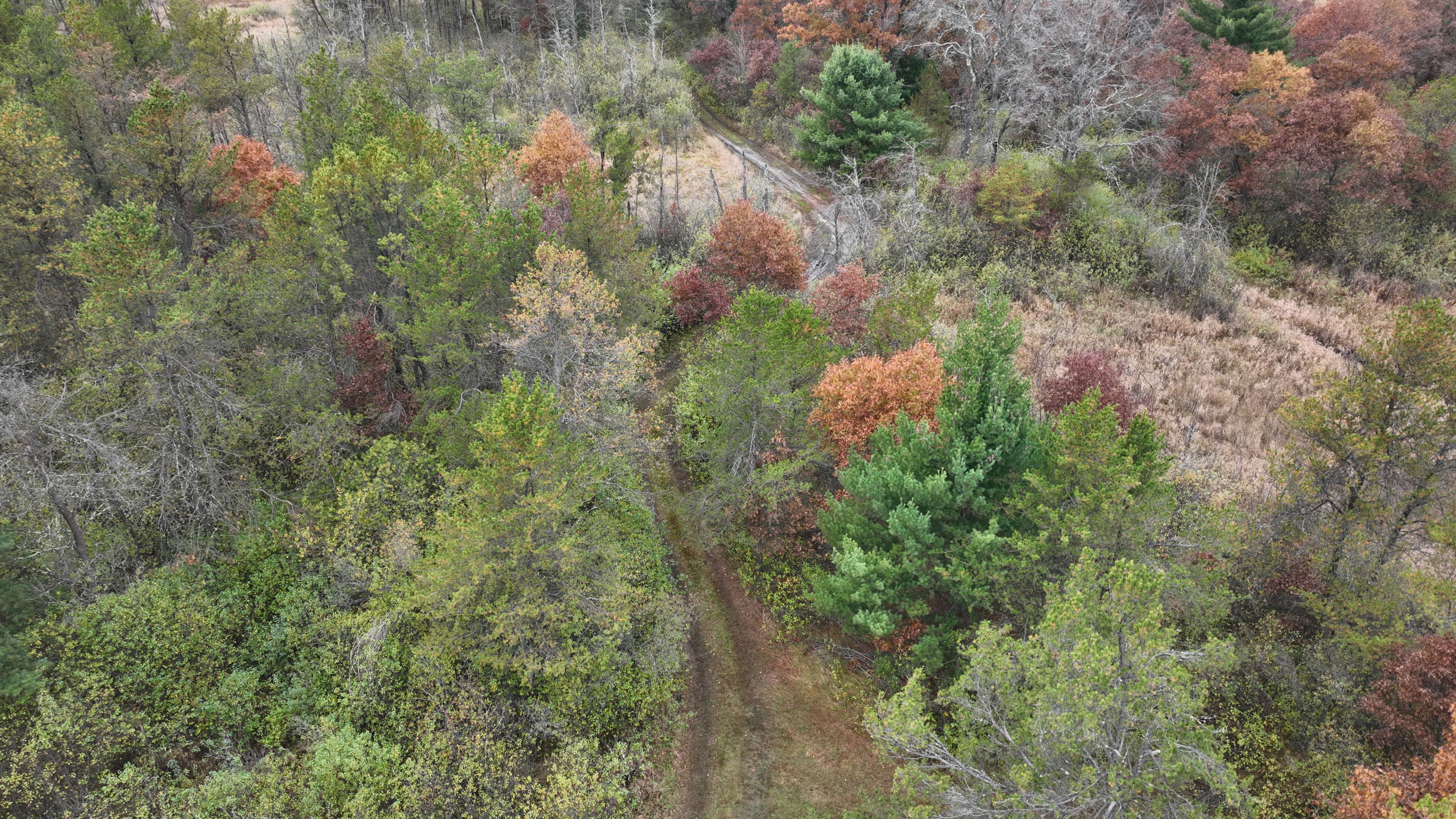 Listing Photo: DJI_0993