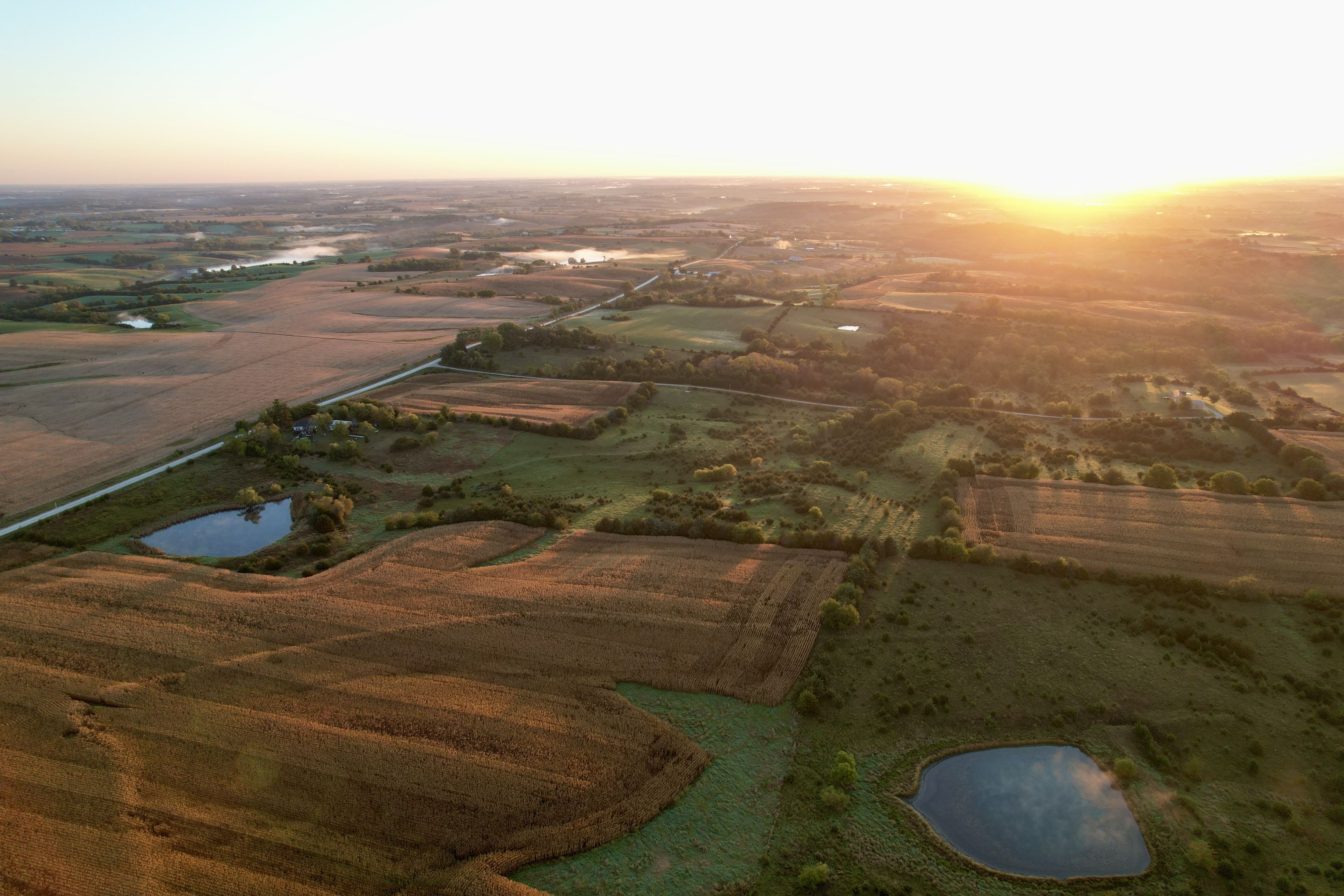 Listing Photo: DJI_0221