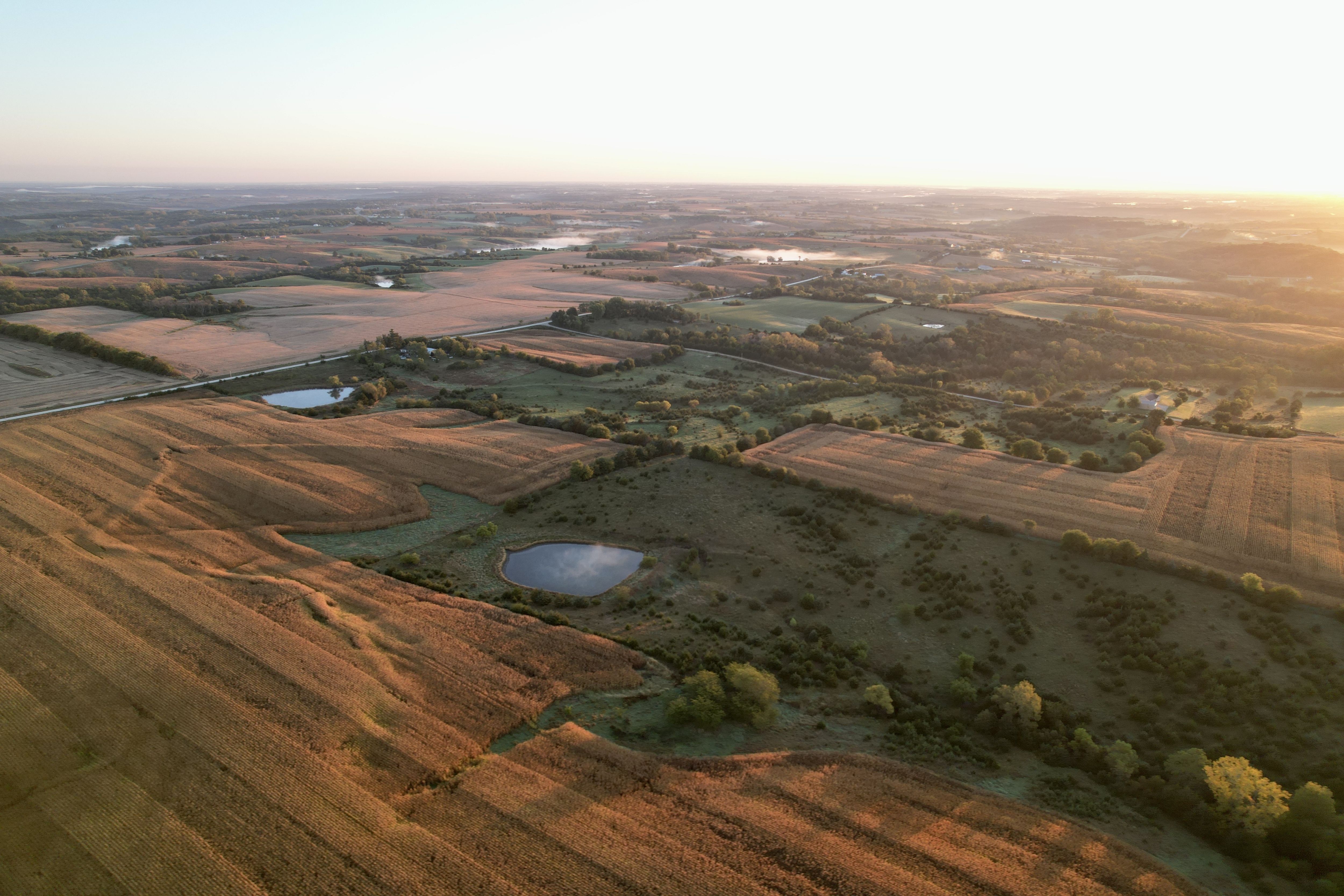 Listing Photo: DJI_0224